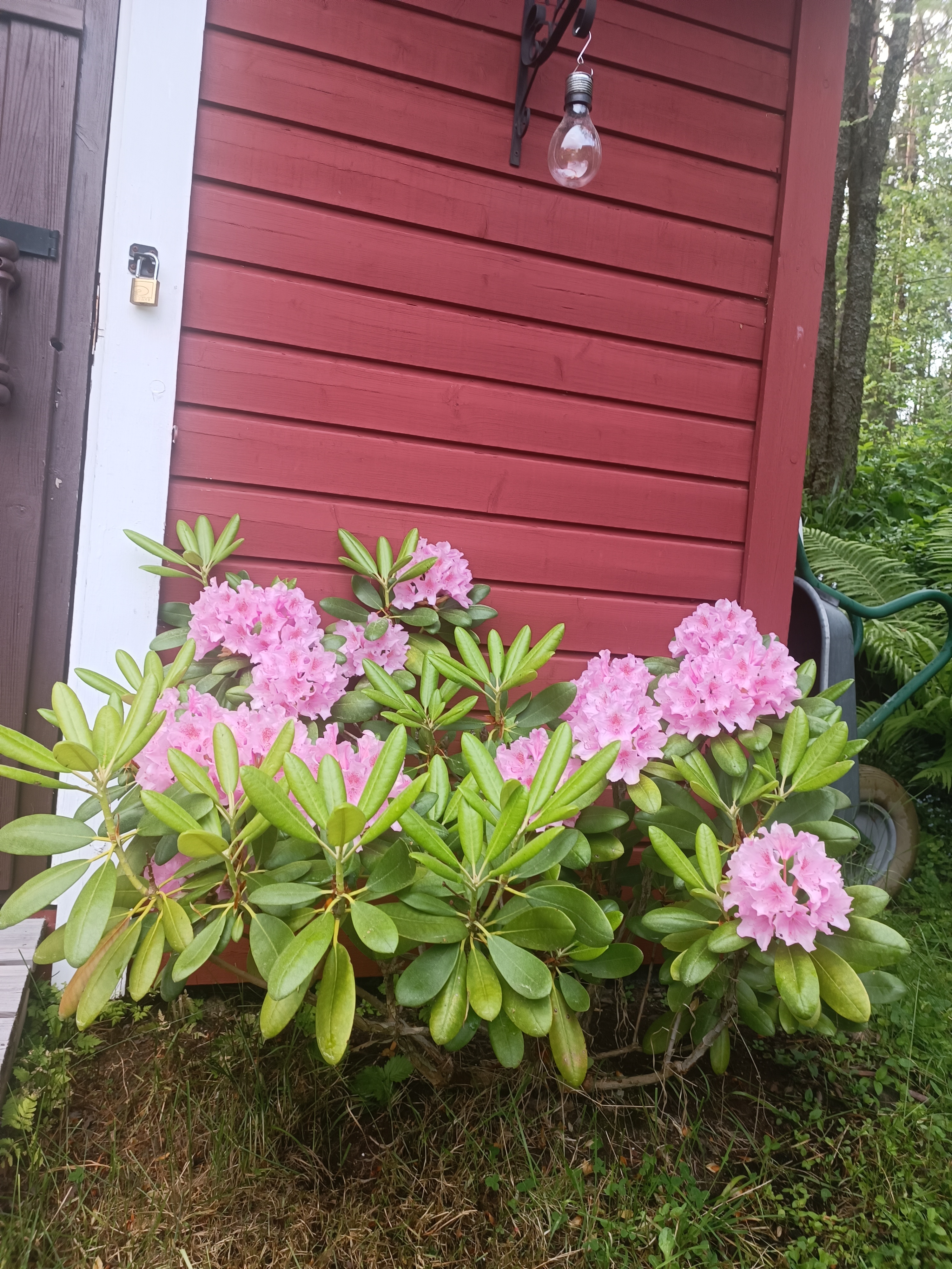 Siemenkodantie 6, Tikkala, Mikkeli