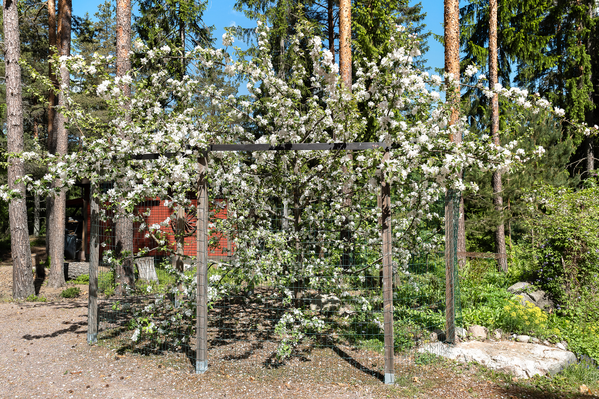 Kabanovintie 117, Pilvijärvi, Kirkkonummi