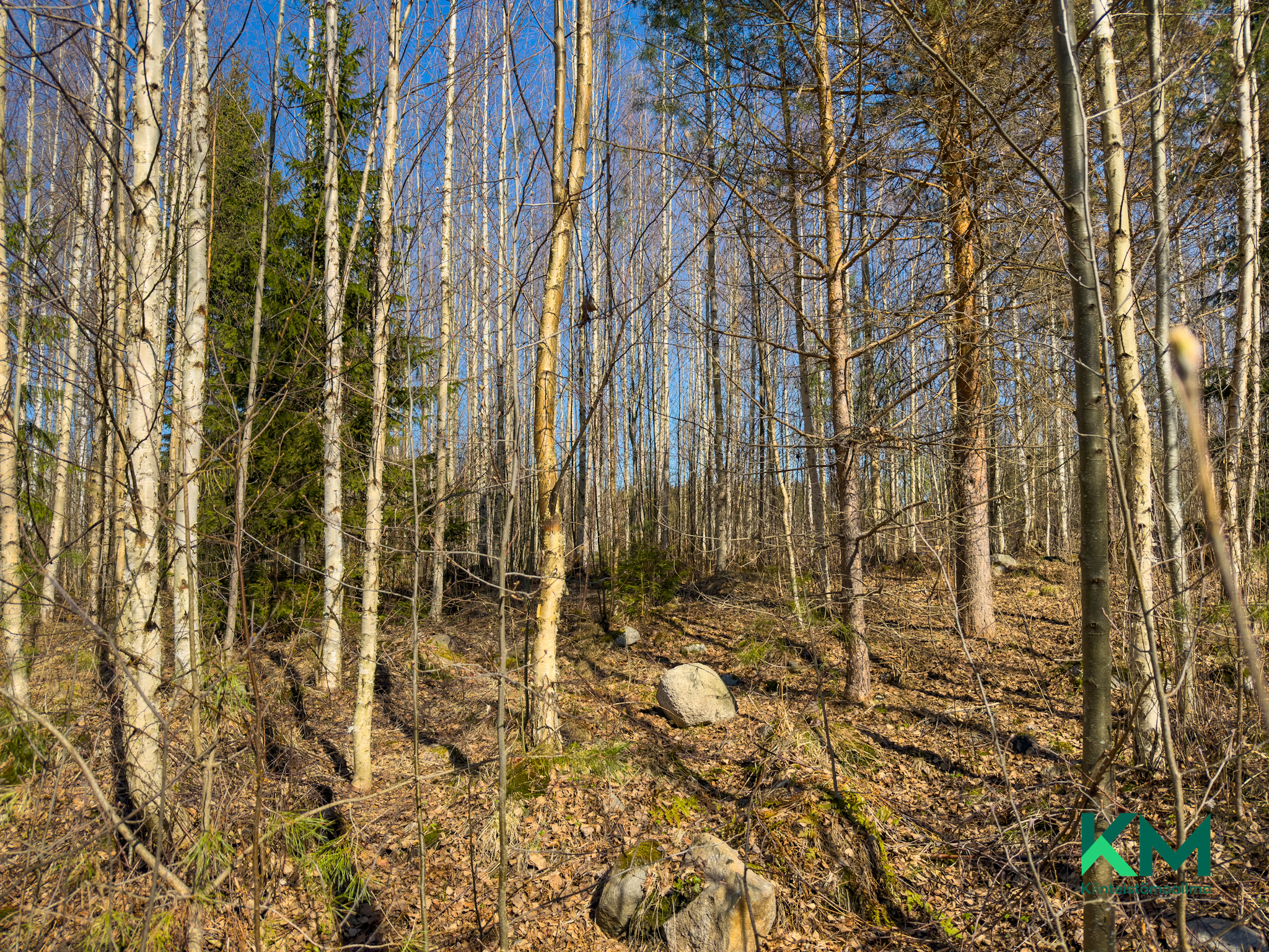 Ruokoniementie 824 J, Savonlinna