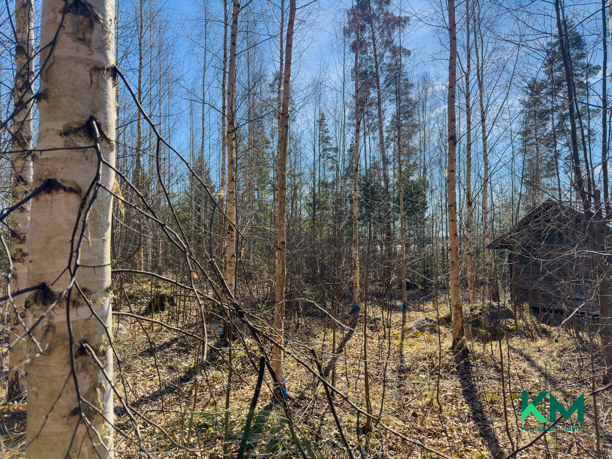 Ruokoniementie 824 J, Savonlinna