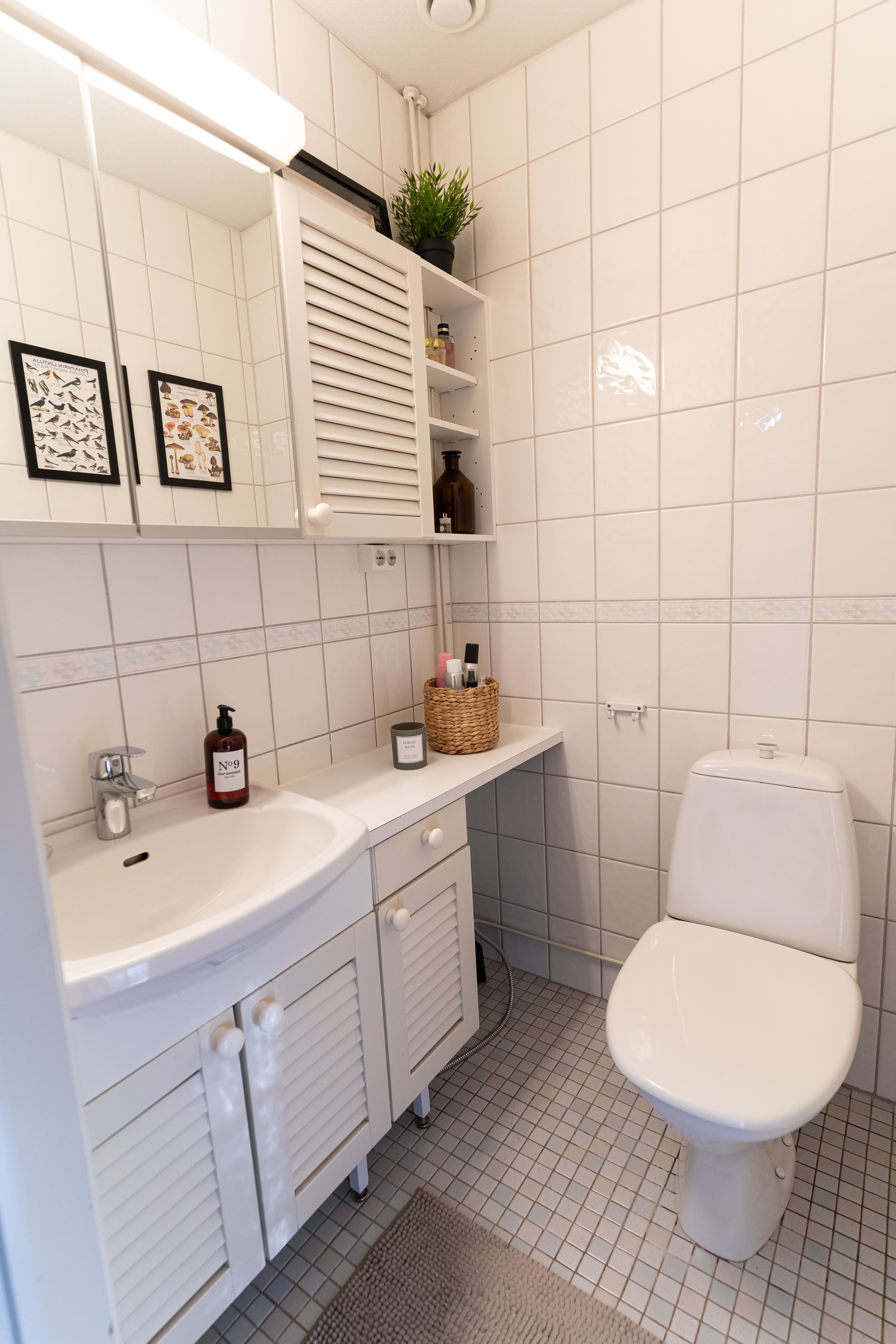 Erillinen WC