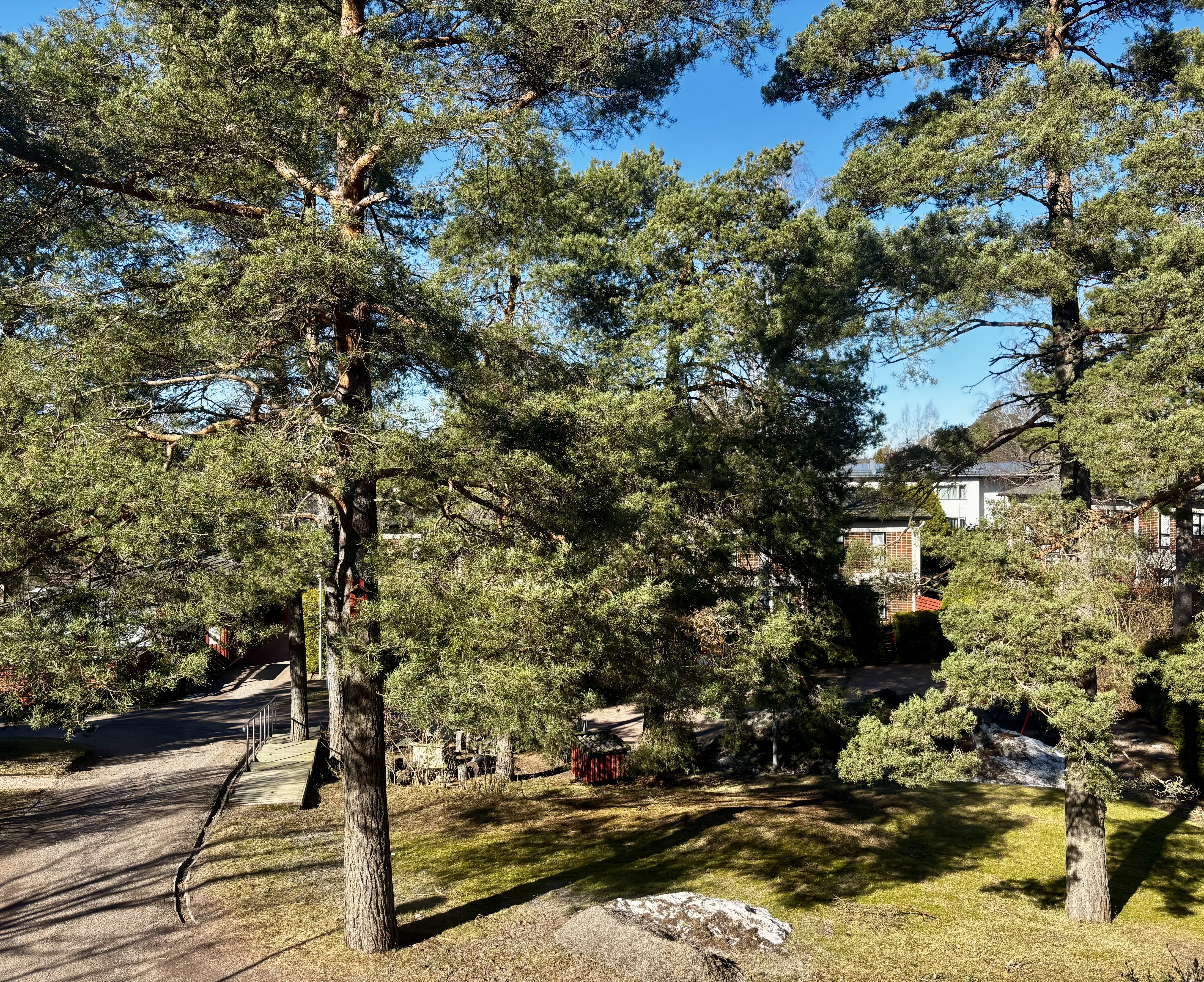 näkymät ikkunasta etupihalle