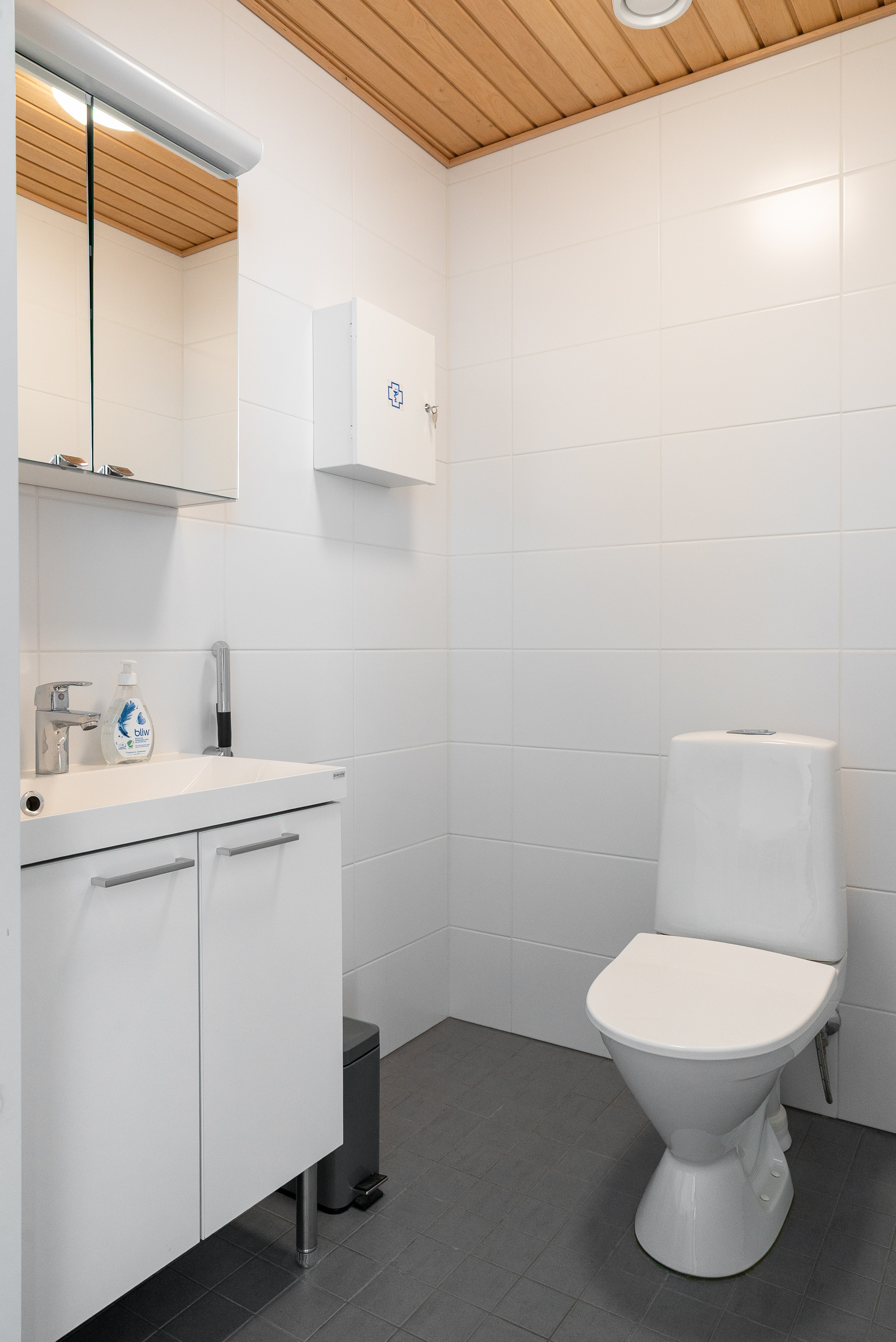 Erillinen wc