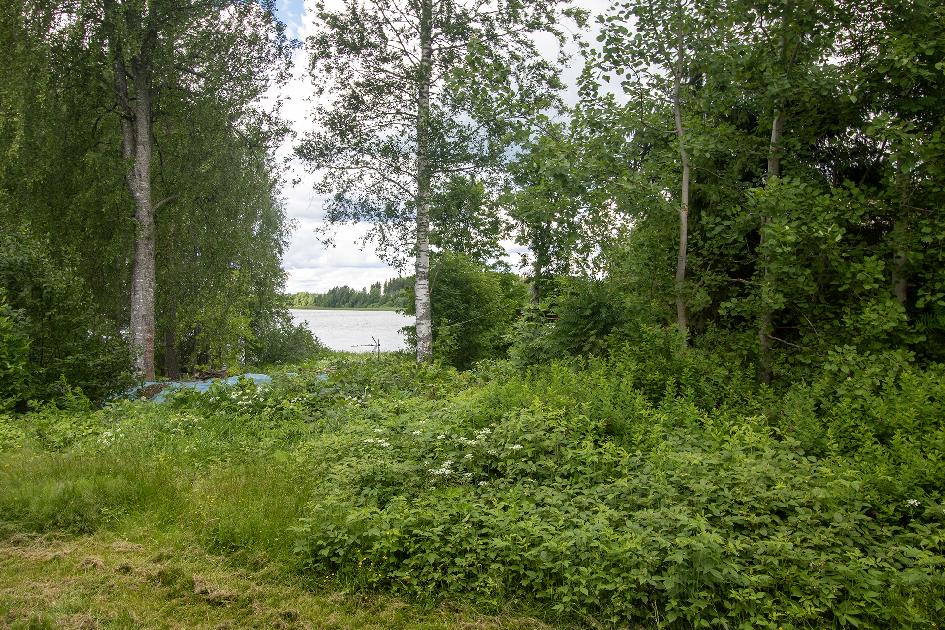 Ruuskalantie 85, Pyylampi, Siilinjärvi
