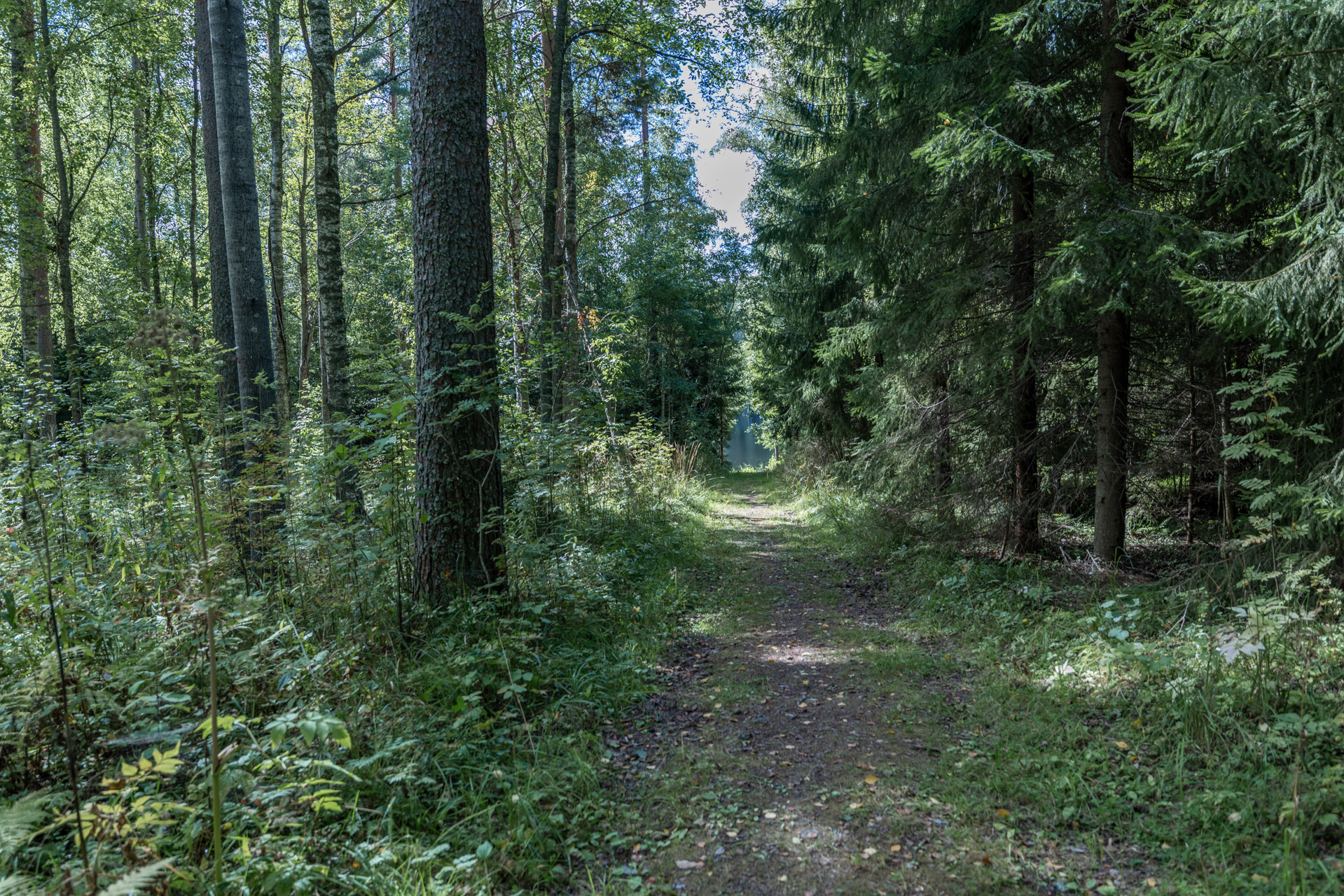 Tyrjäntie 12, Tusku, Mikkeli