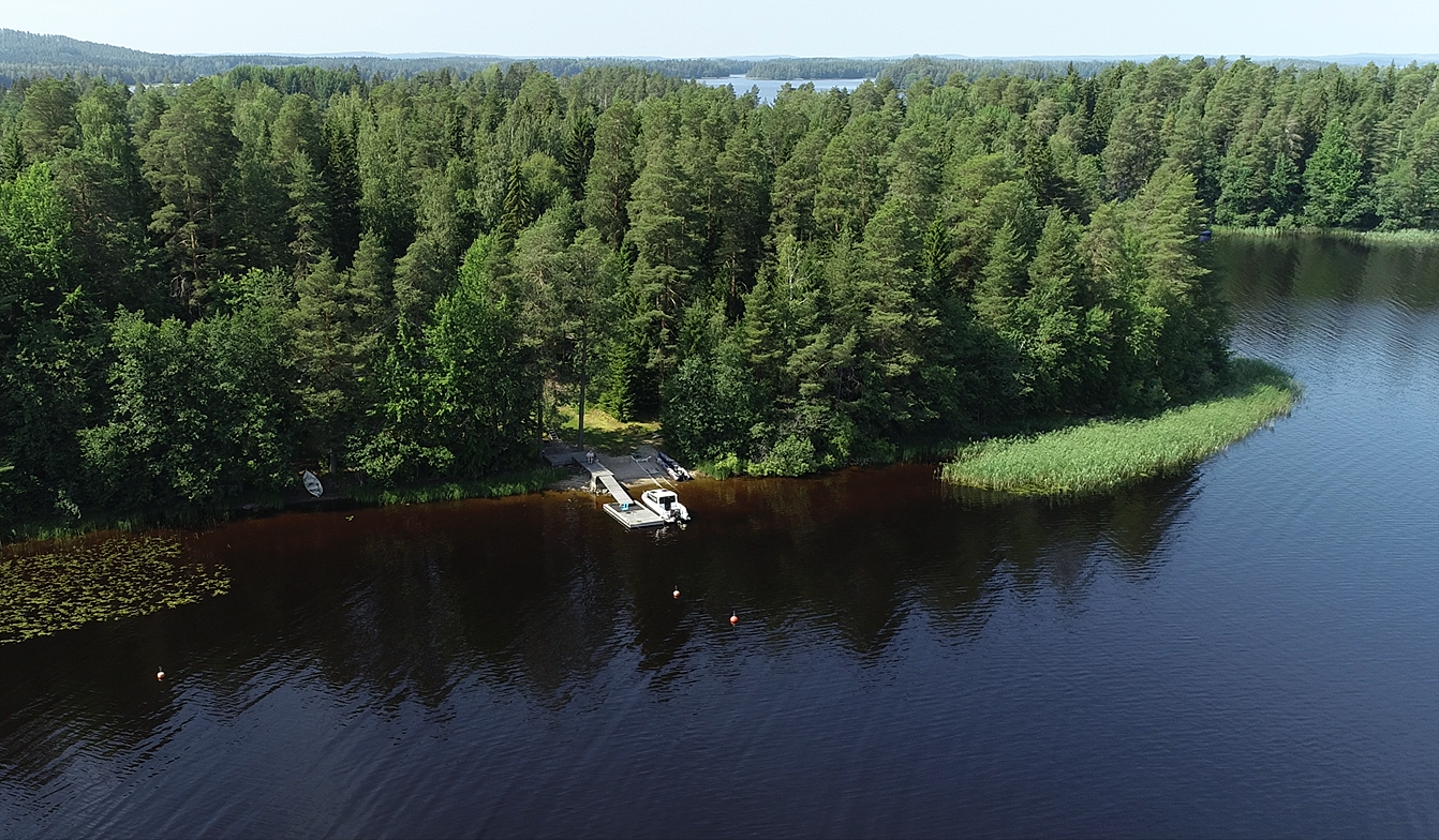 Halkosaari 2, Päiväranta, Kuopio