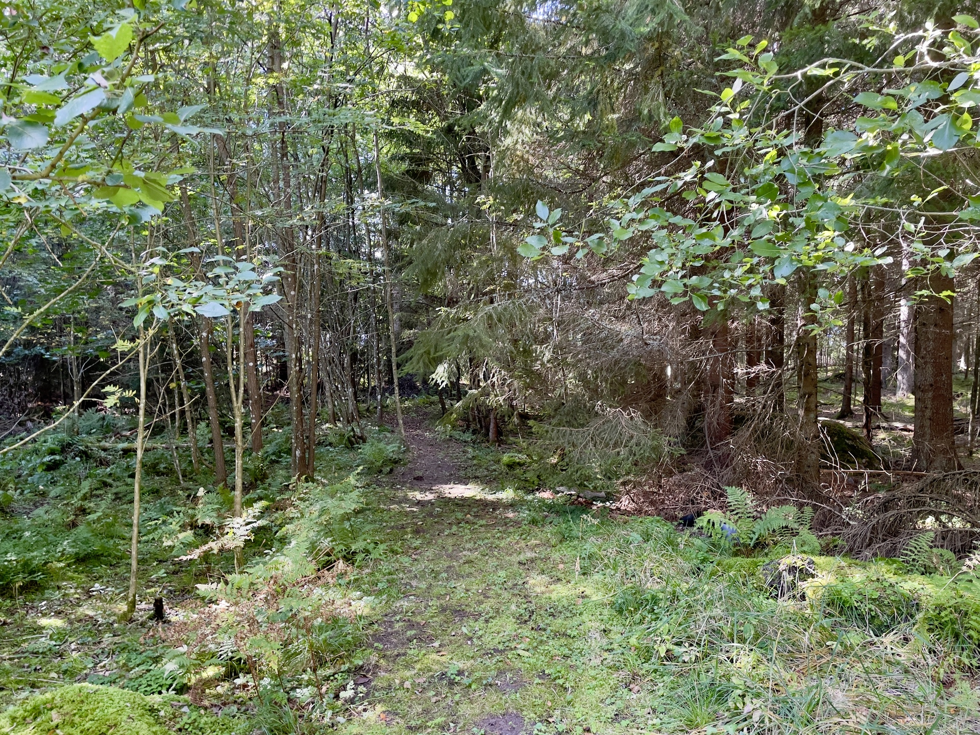 Lehtorannantie 9, Vihti