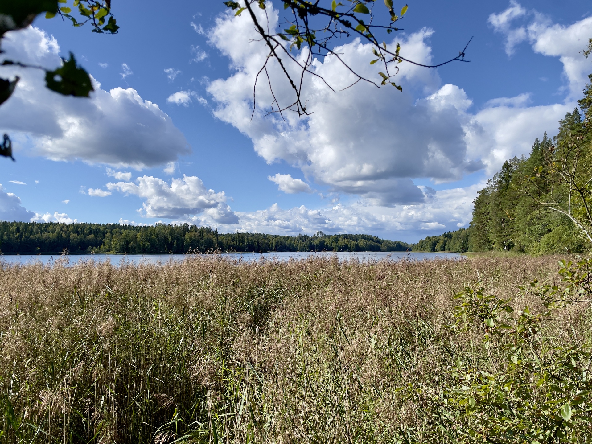Lehtorannantie 9, Vihti