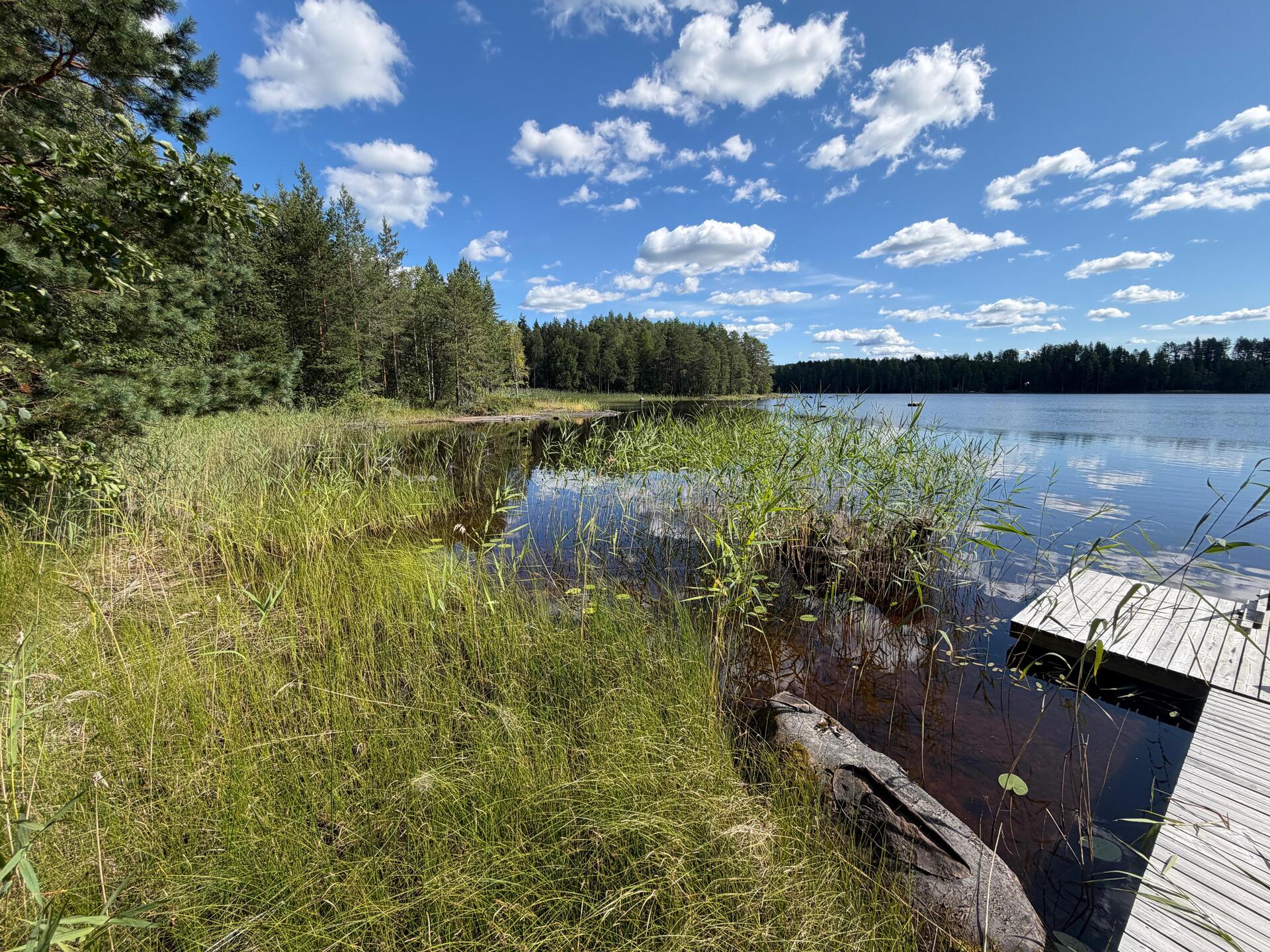 Polviniementie 6b, Polvijärvi, Heinävesi