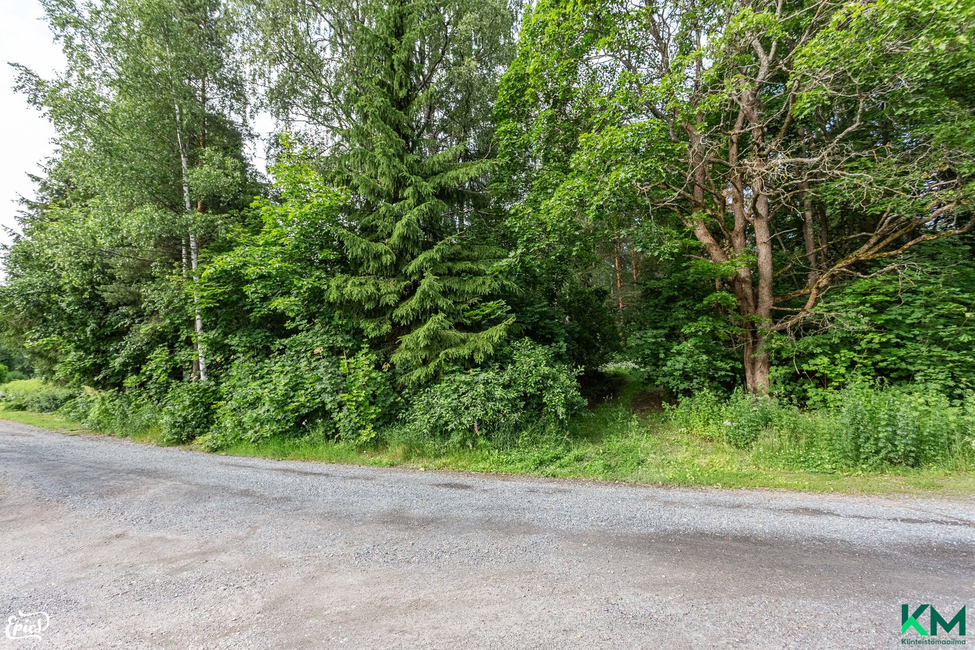 Surtikontie 6, Huutijärvi, Kangasala