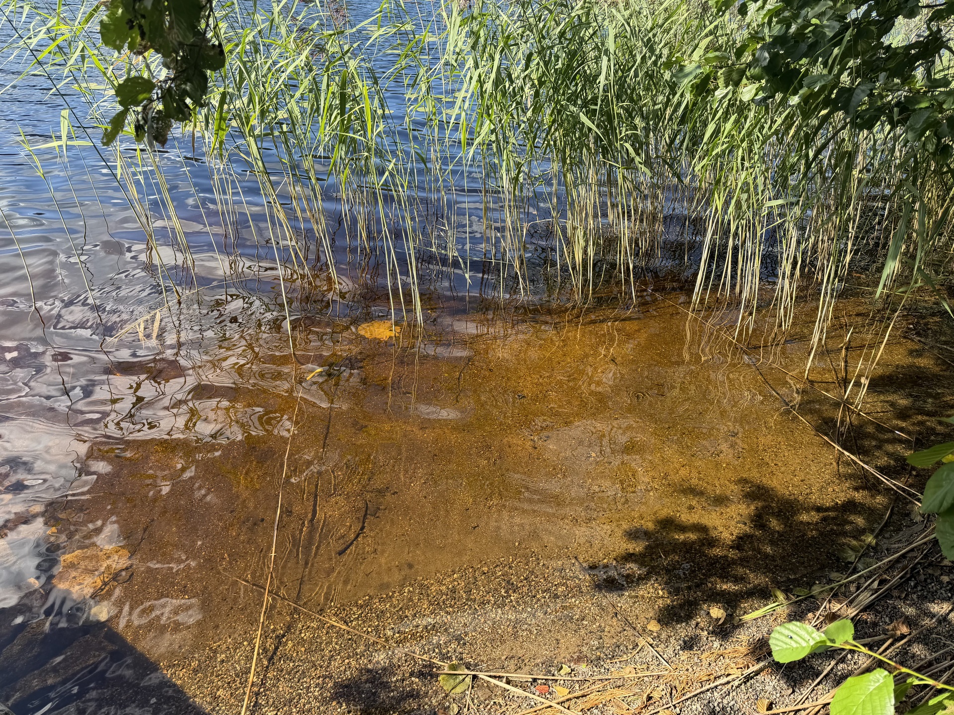 Tervalantie 52, Auttoinen, Padasjoki