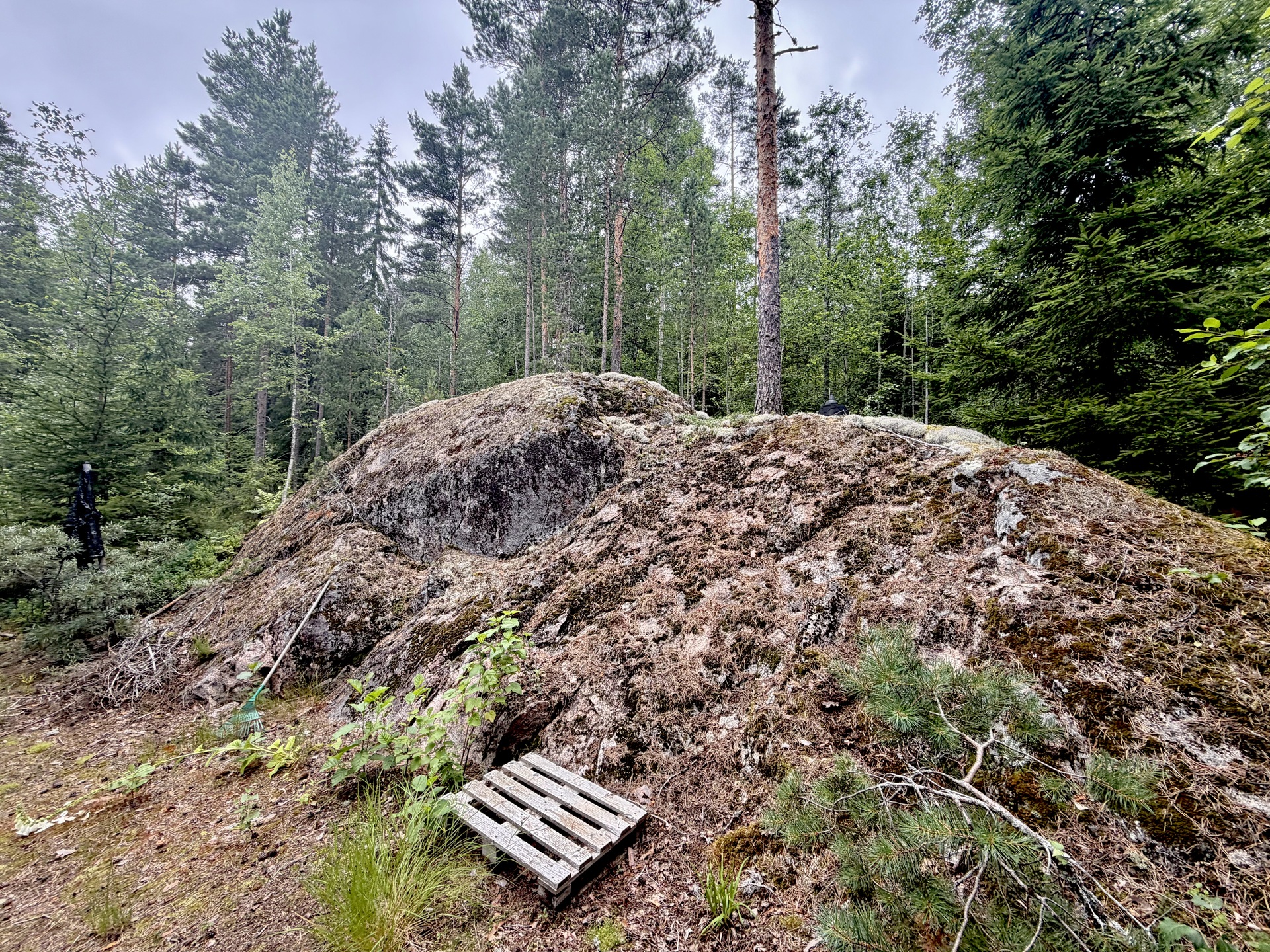 Tervalantie 52, Auttoinen, Padasjoki