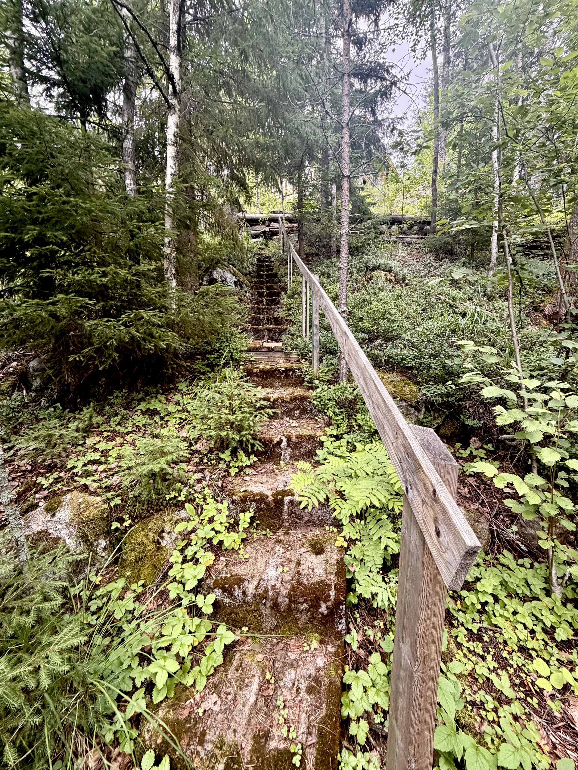 Tervalantie 52, Auttoinen, Padasjoki