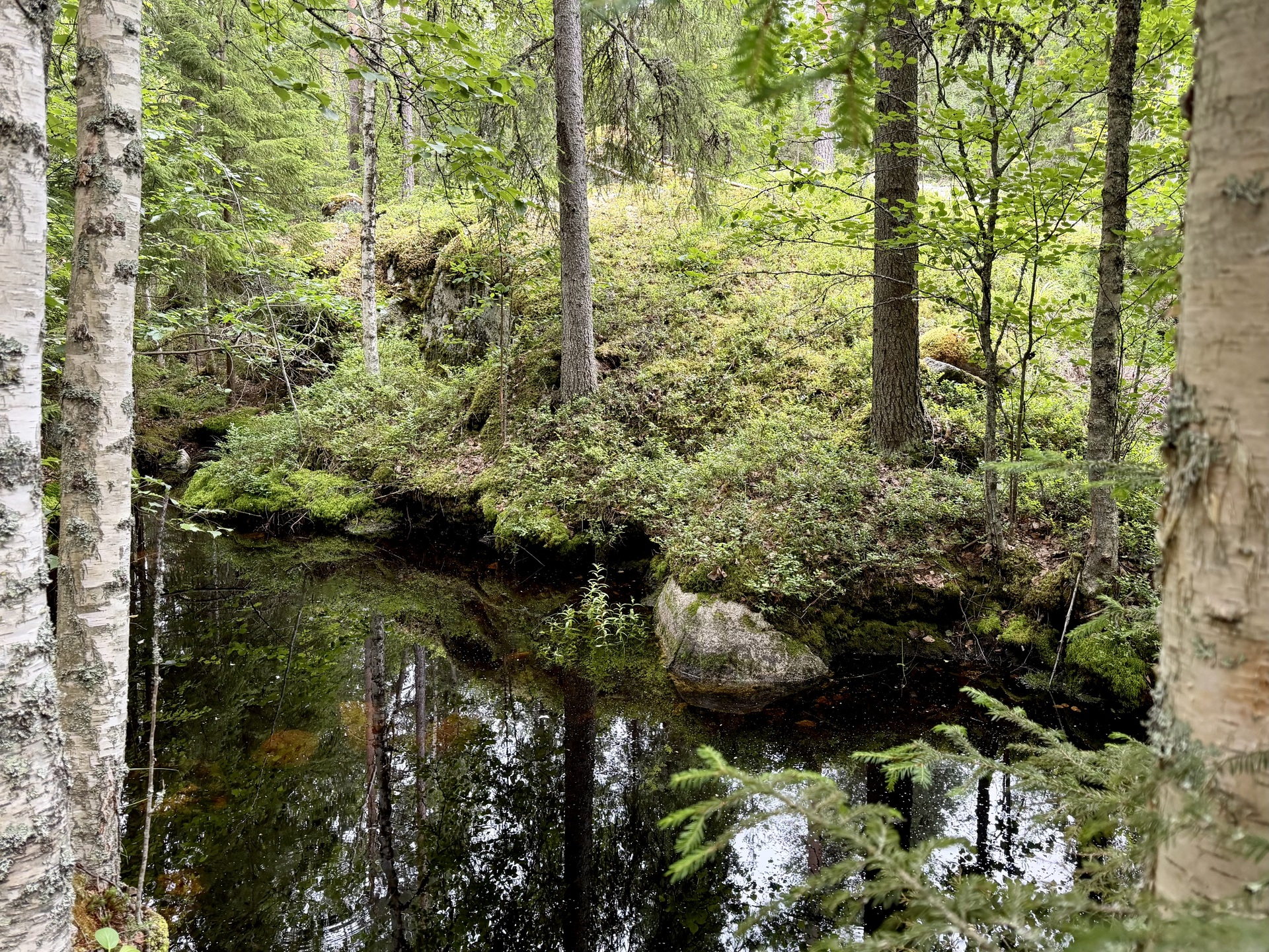 Tervalantie 52, Auttoinen, Padasjoki