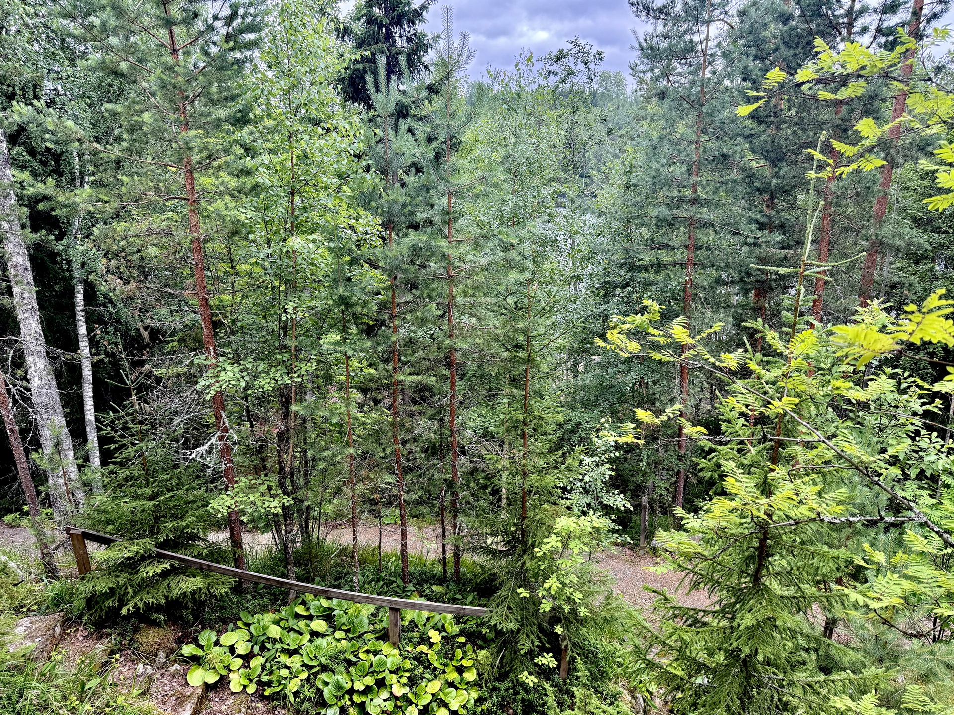 Tervalantie 52, Auttoinen, Padasjoki