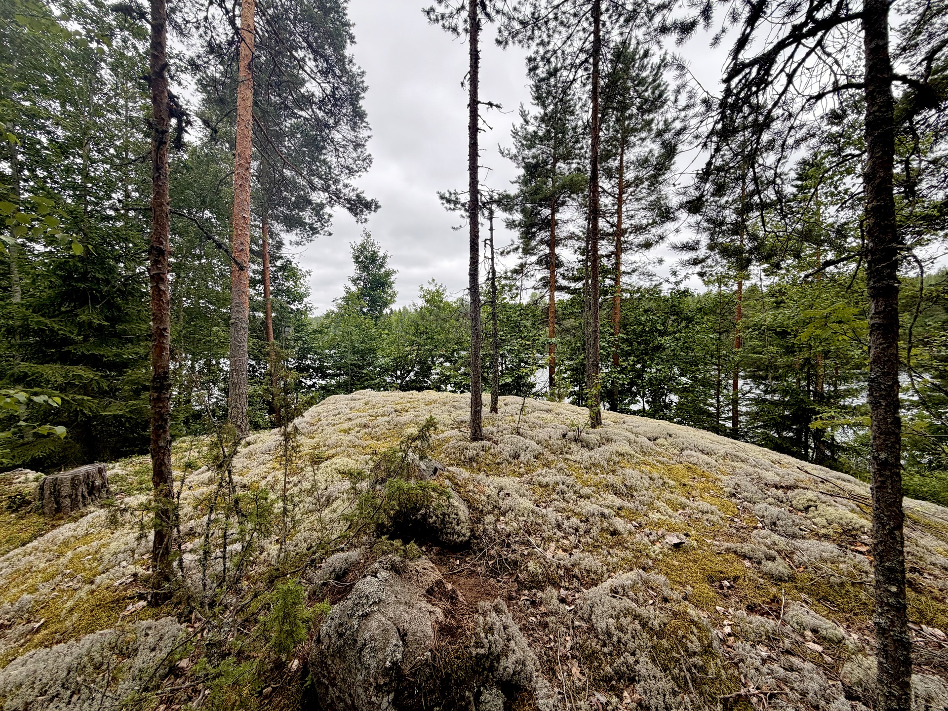 Tervalantie 52, Auttoinen, Padasjoki