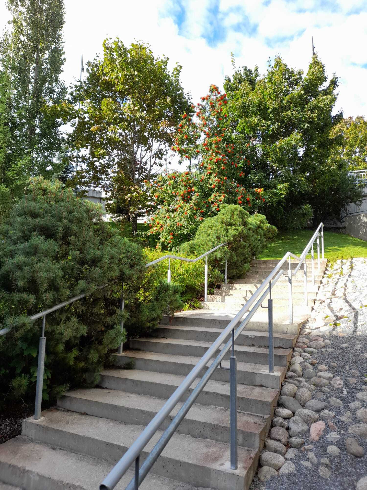 Myyjän ottama kesäkuva