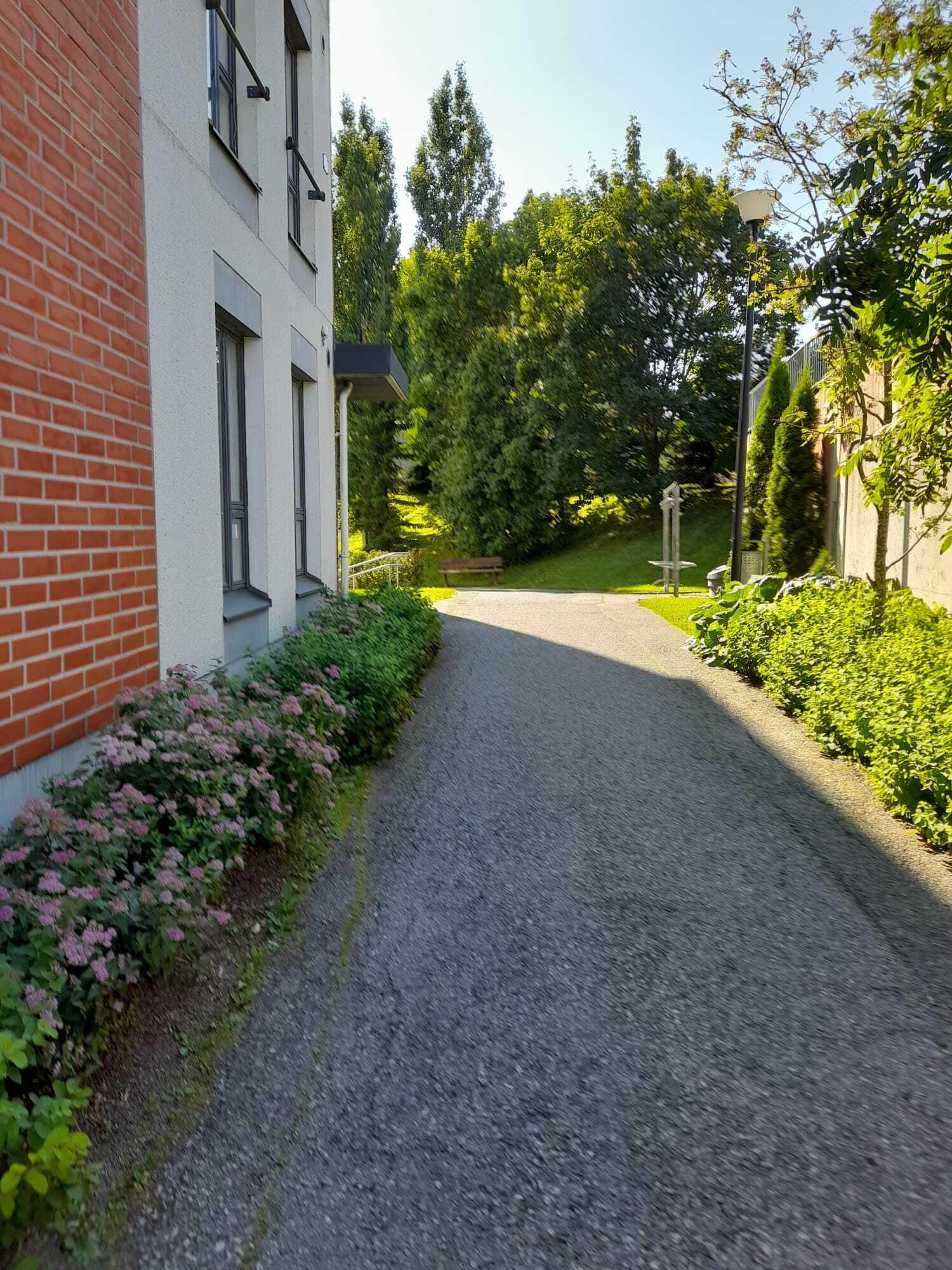 Istutuksia (myyjän kuvagalleria)