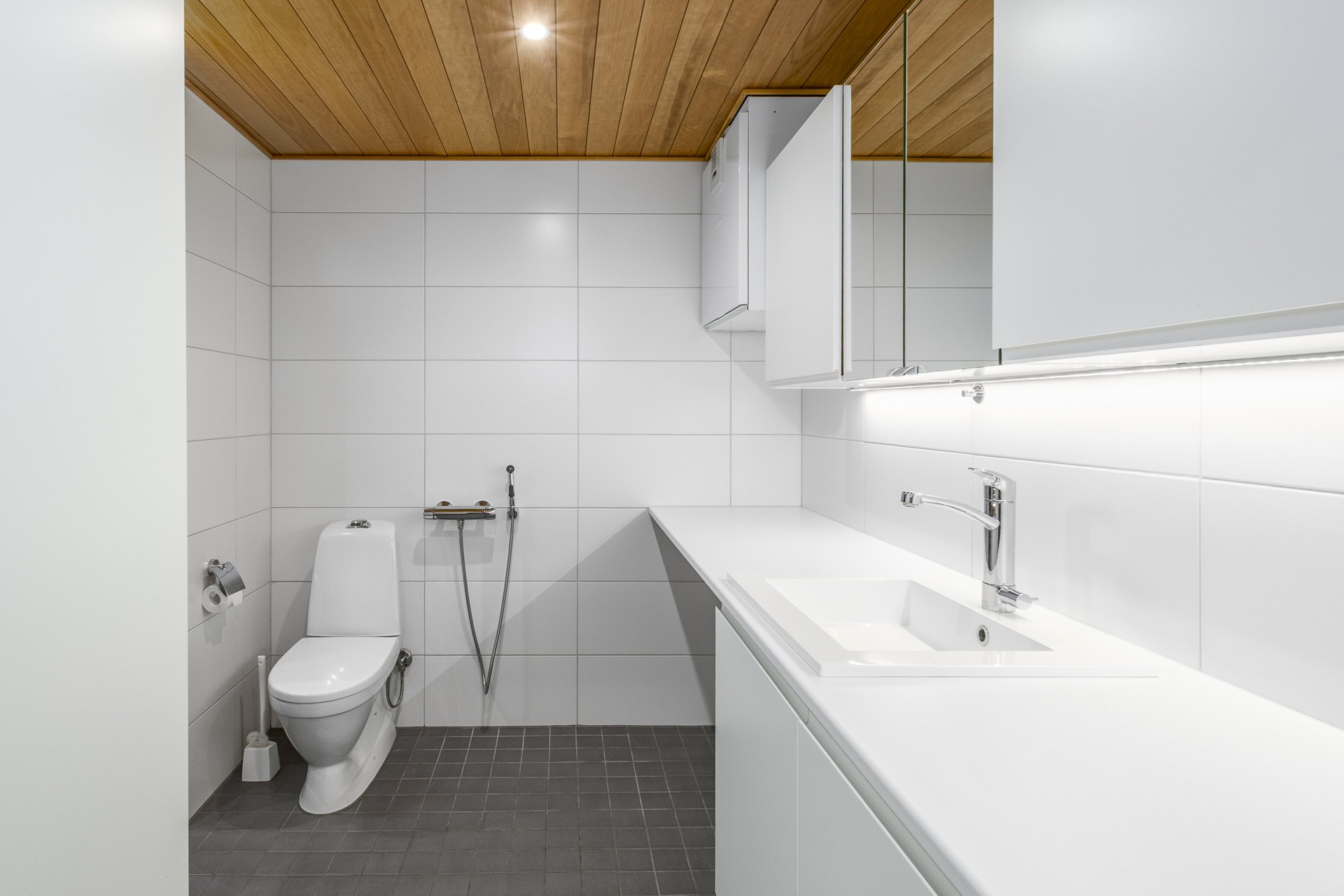 Kodinhoito ja wc