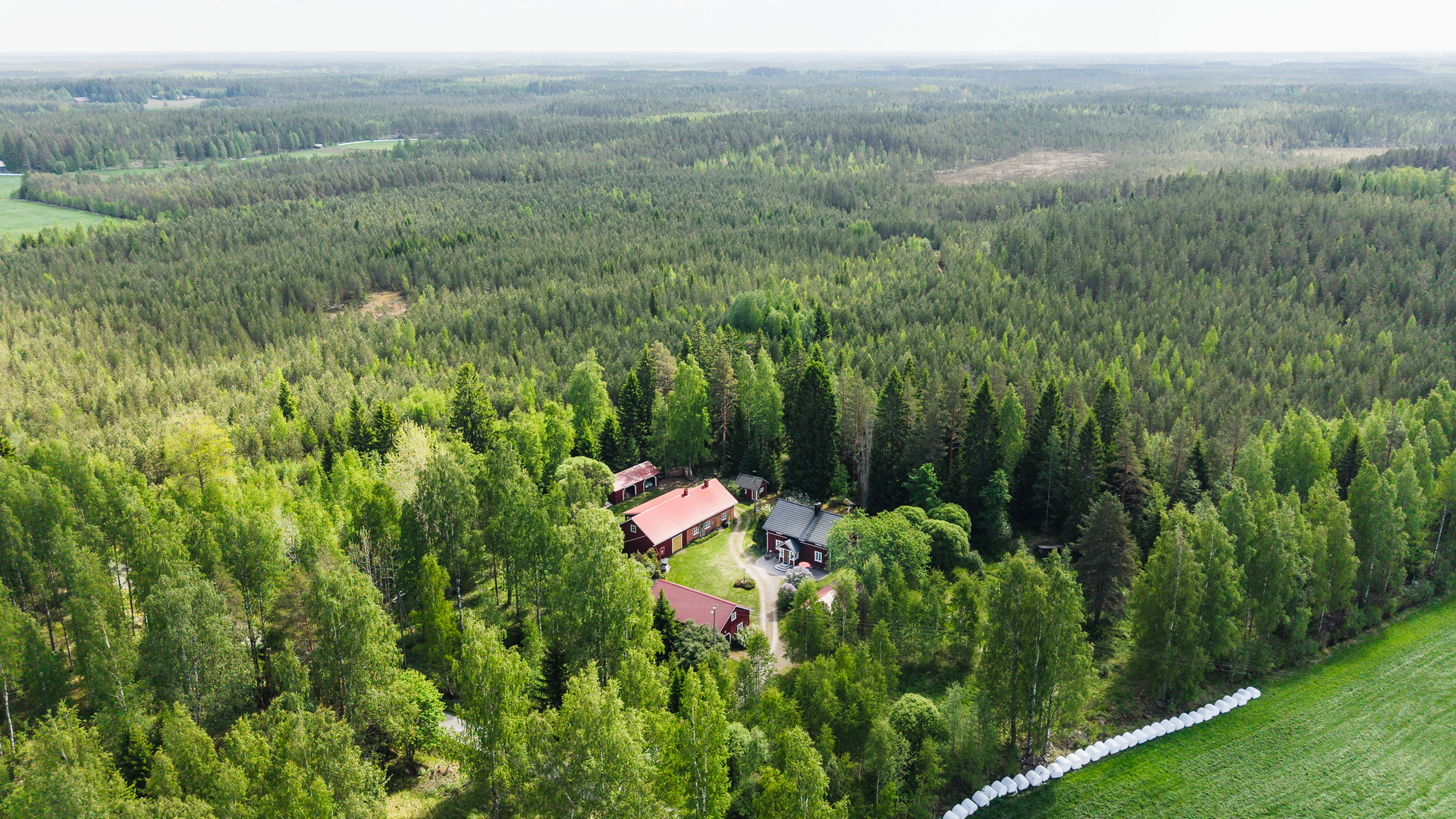 Kankaanpääntie 131, Kuivaskylä, Alavus