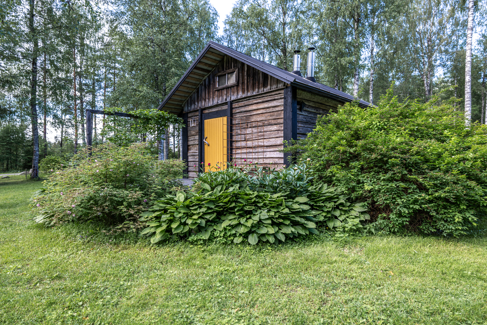 pihasauna