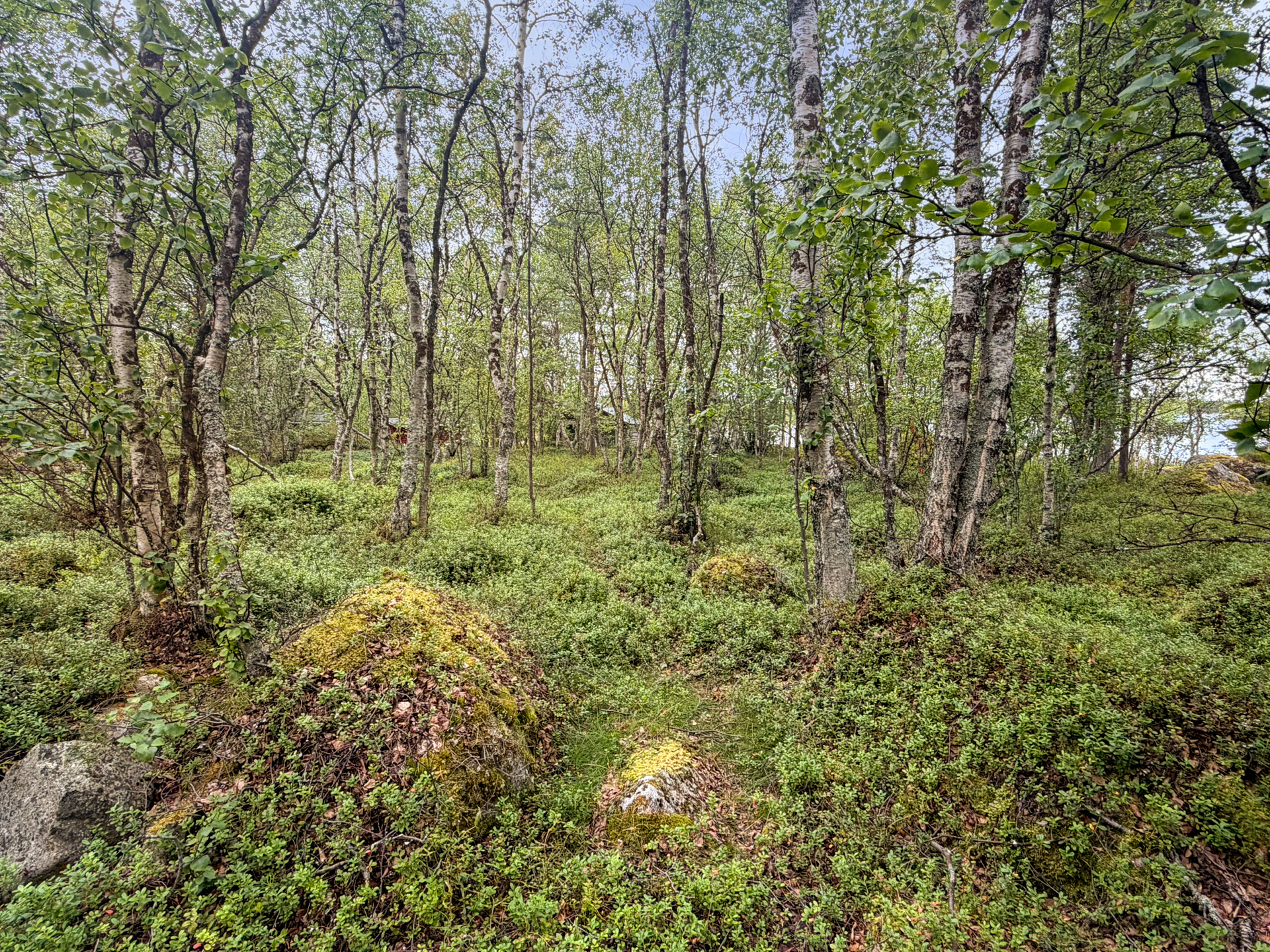 Tontti sijoittuu Inarijärven rantaan, tie perille.ä