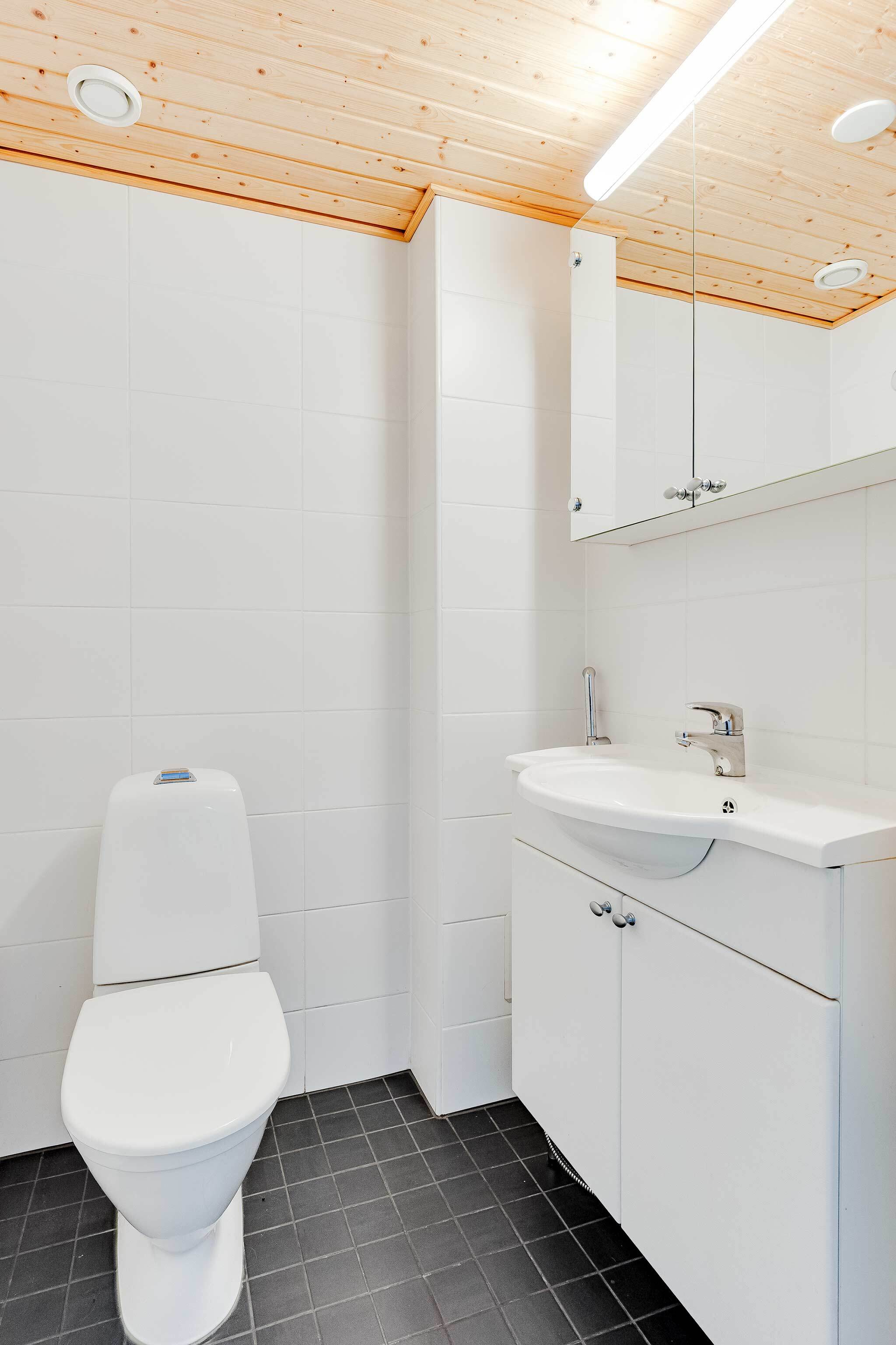 Alakerrassa sijaitsee asunnon toinen erillis wc