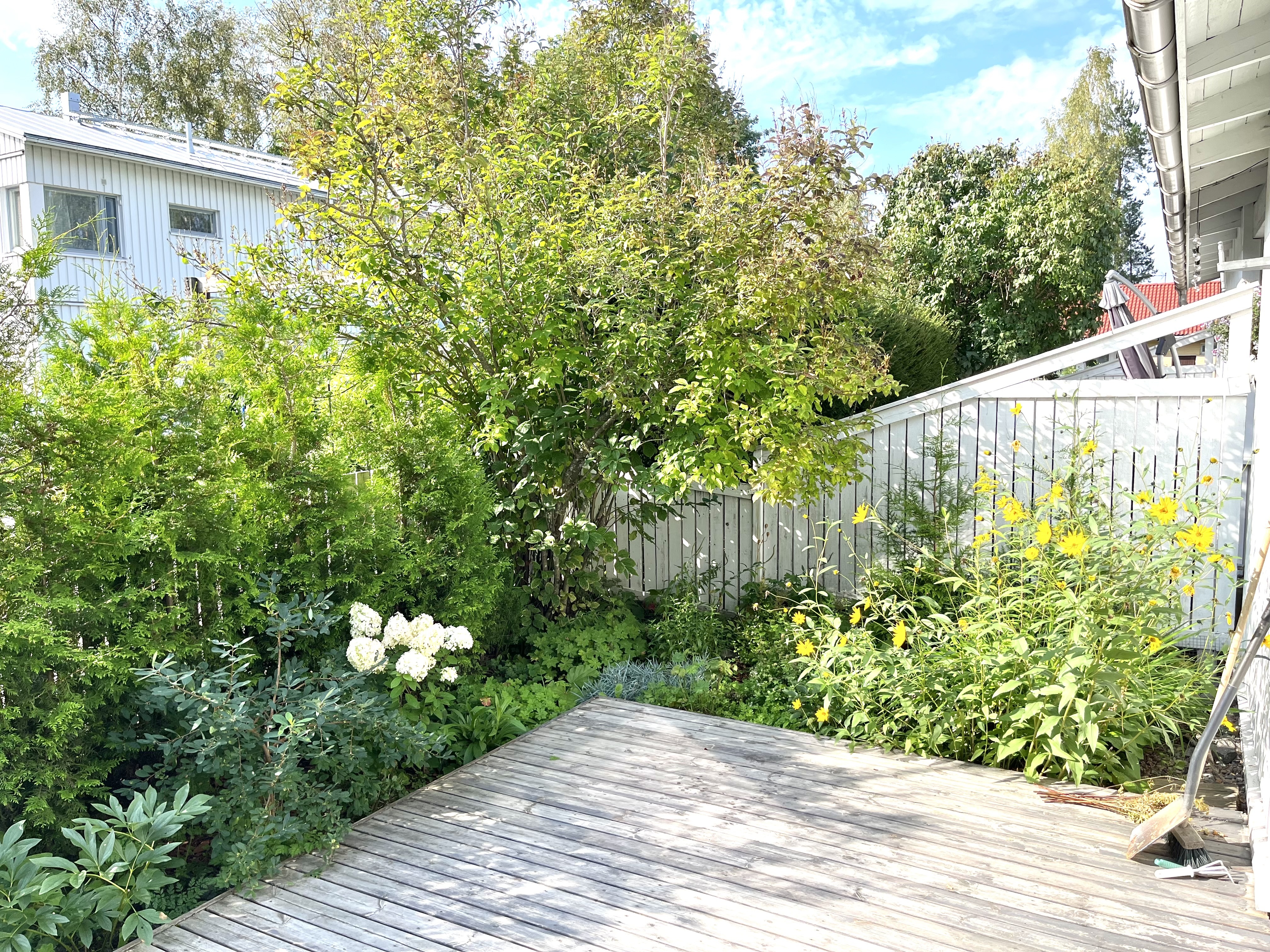 Vesimiehentie 36, Suutarila, Helsinki