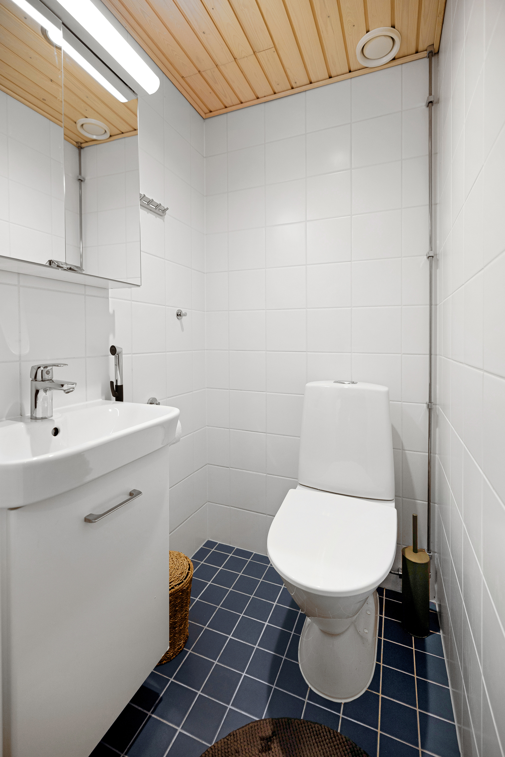 Erillinen wc