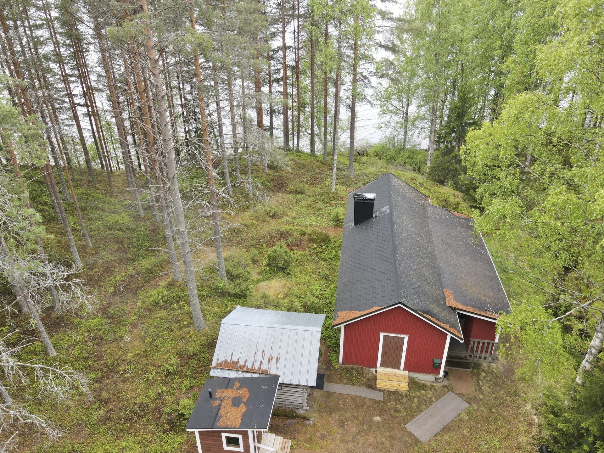 Pohjoispuolentie 1971, Kuhmo
