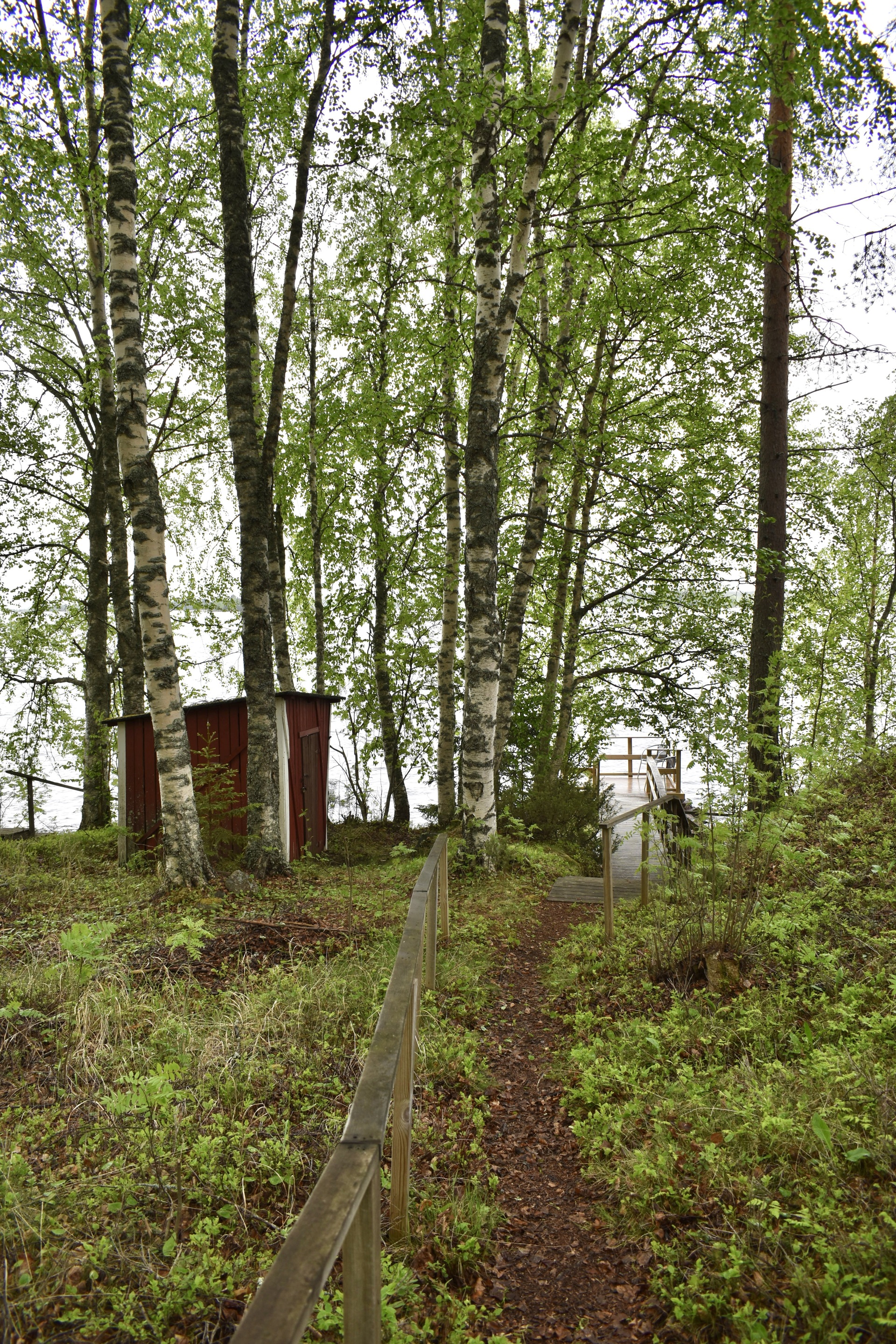 Pohjoispuolentie 1971, Kuhmo