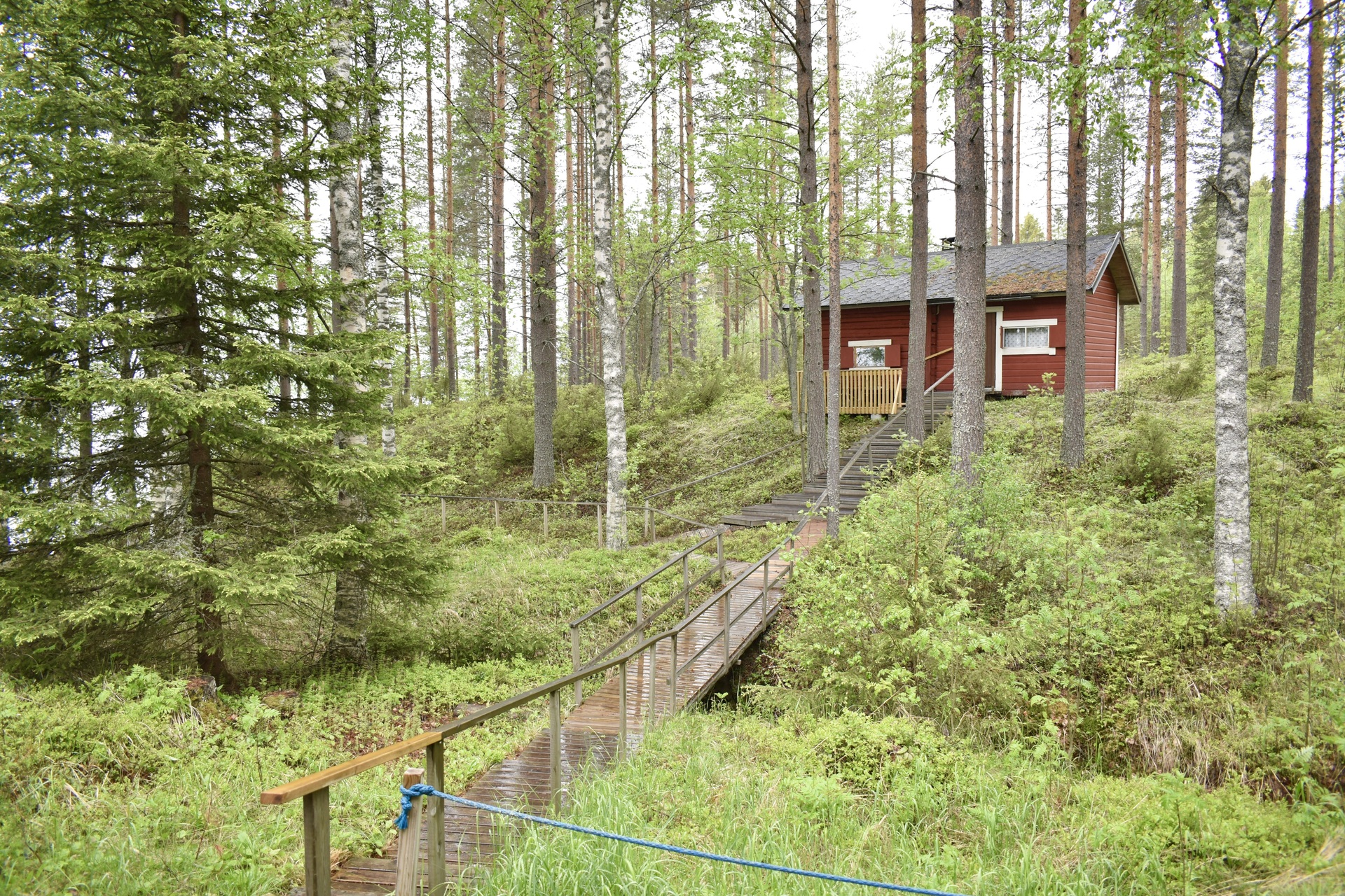 Pohjoispuolentie 1971, Kuhmo