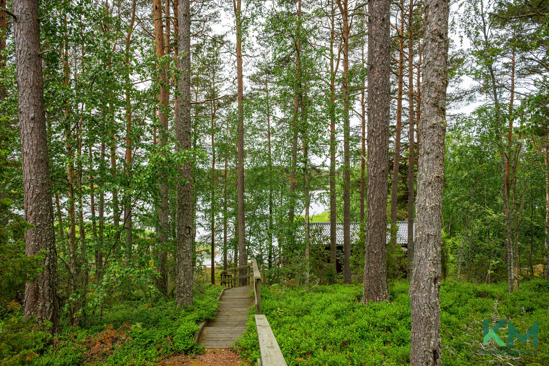 Pleikiläntie 1168 A, Kaurissalo, Kustavi