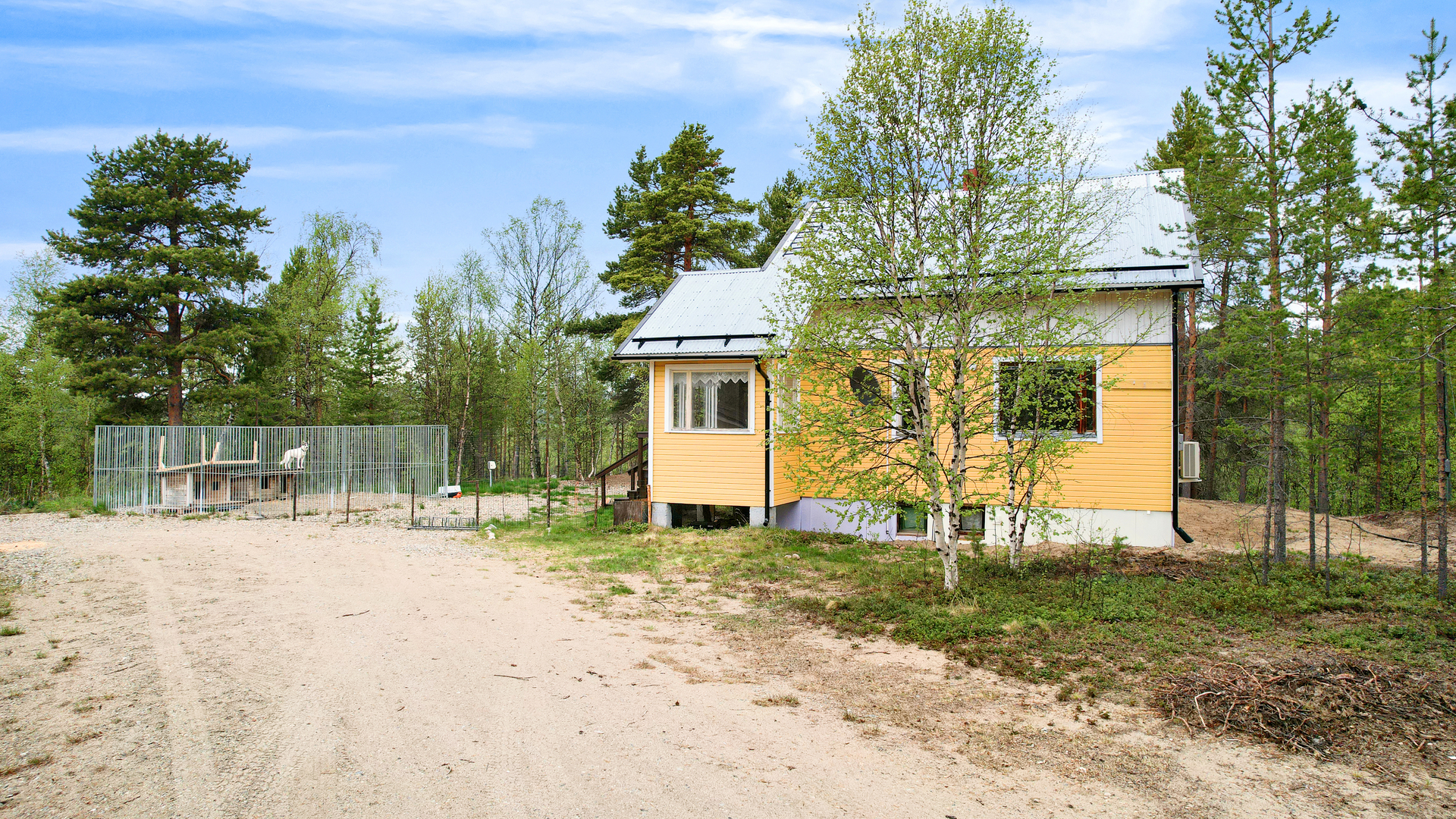 Näkymä talolle pihatieltä