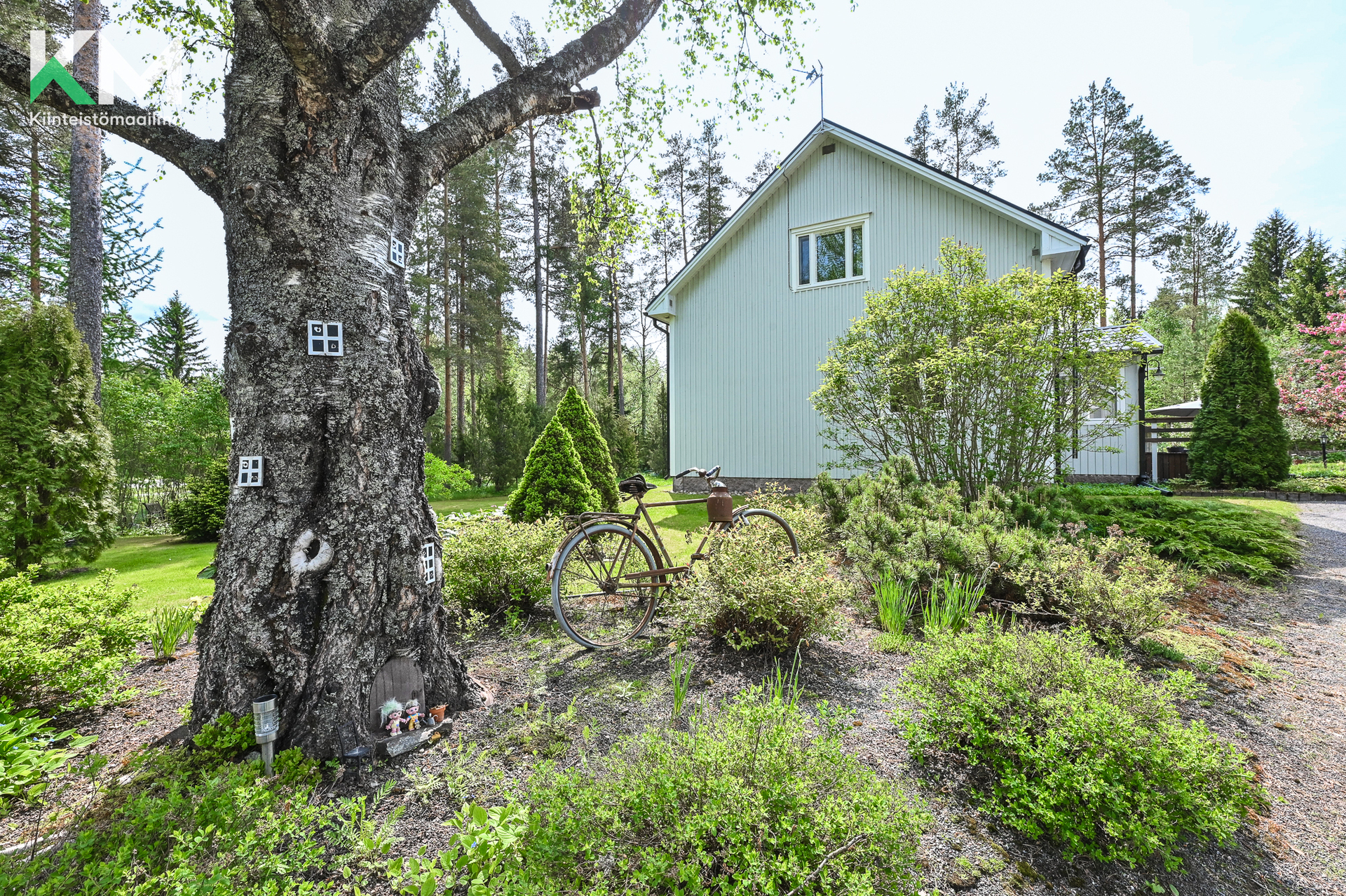 Honkaniementie 6, Kivi, Kurikka