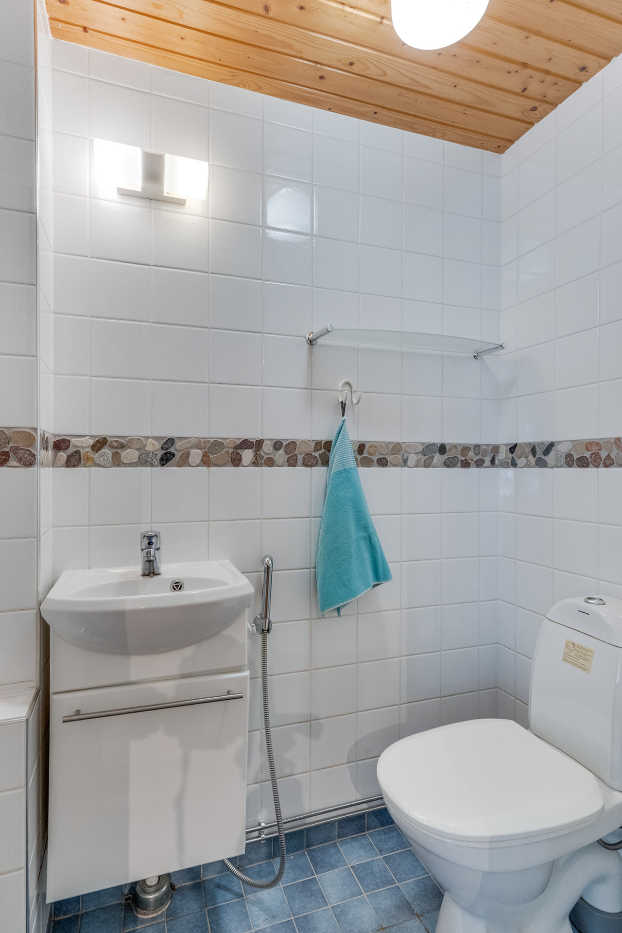 Erillinen wc