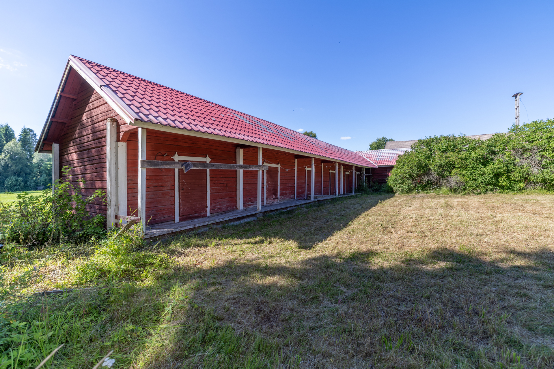 Tinton-Kurentie 259, Levä, Kangasniemi