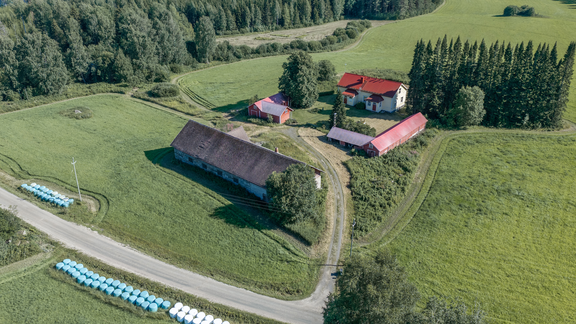 Tinton-Kurentie 259, Levä, Kangasniemi