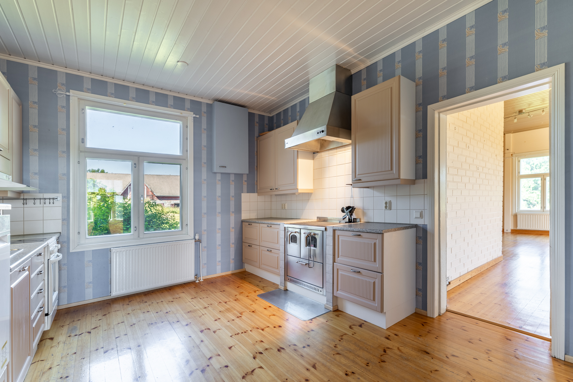 Tinton-Kurentie 259, Levä, Kangasniemi