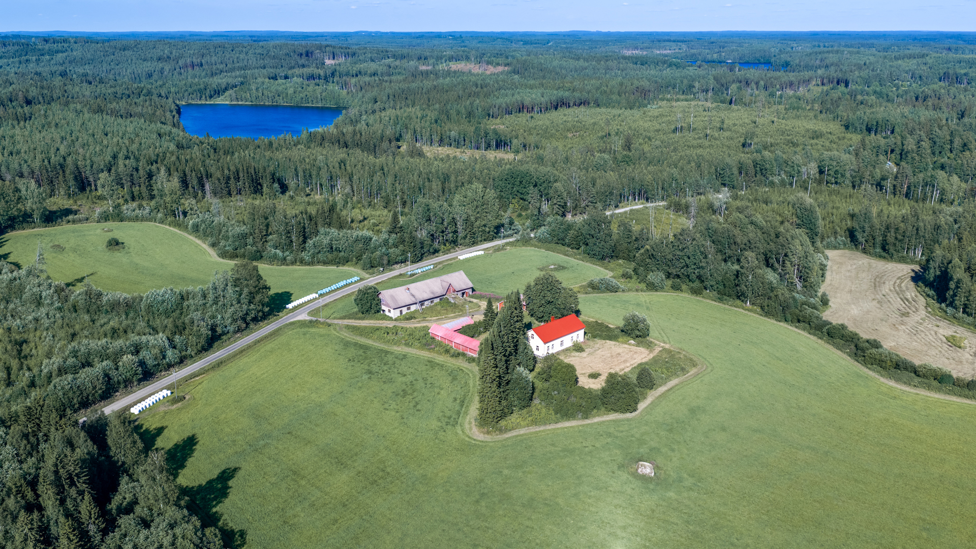 Tinton-Kurentie 259, Levä, Kangasniemi