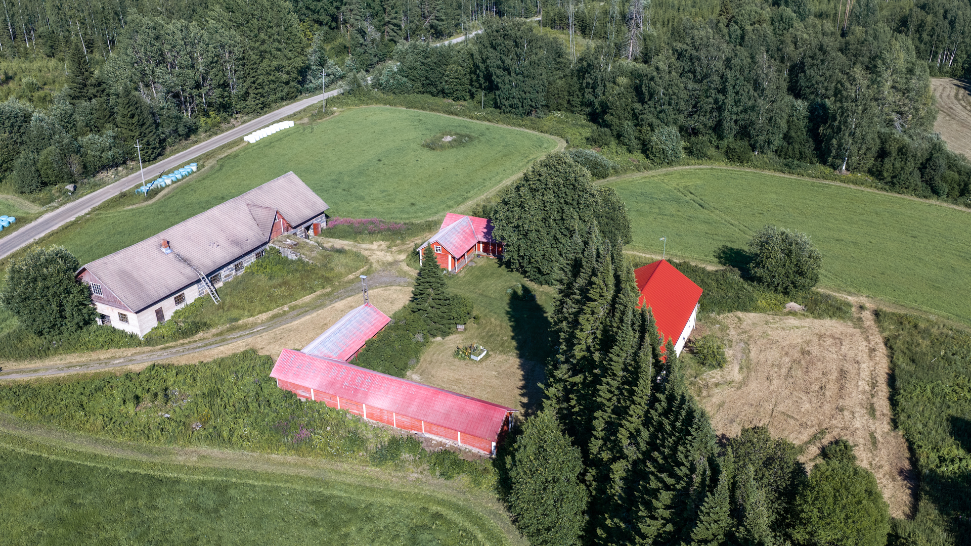 Tinton-Kurentie 259, Levä, Kangasniemi