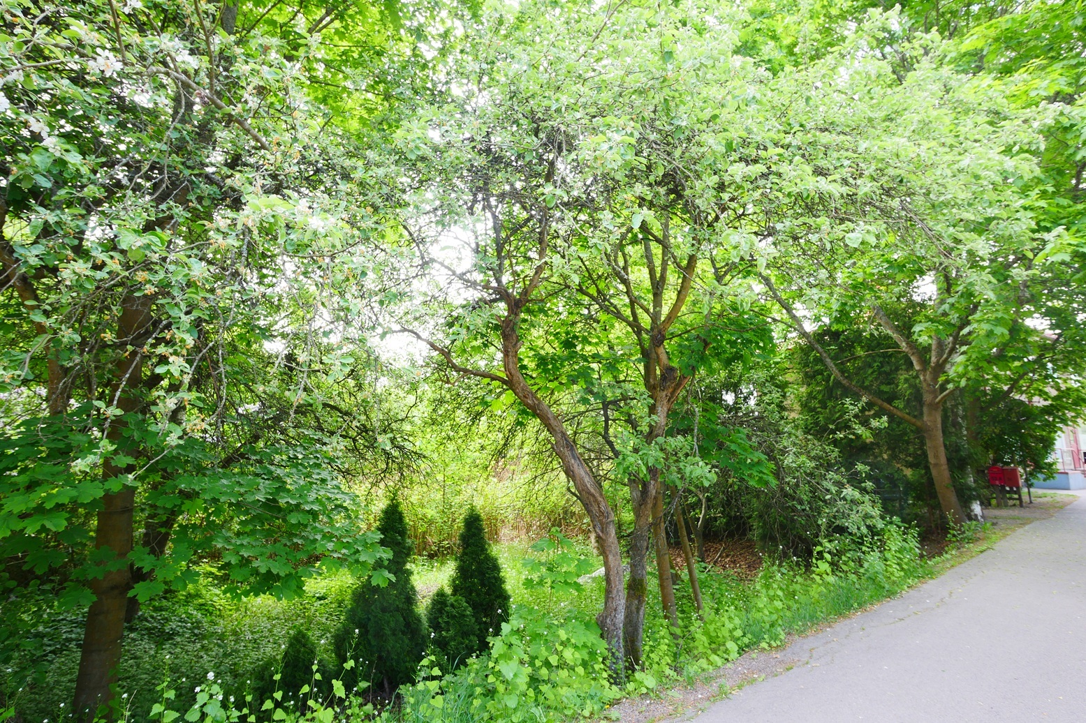 Vanha Tapanilantie 53 C, Helsinki