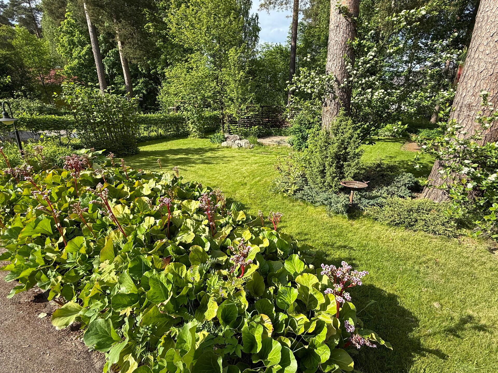 Osmajoentie 47, Varkaus