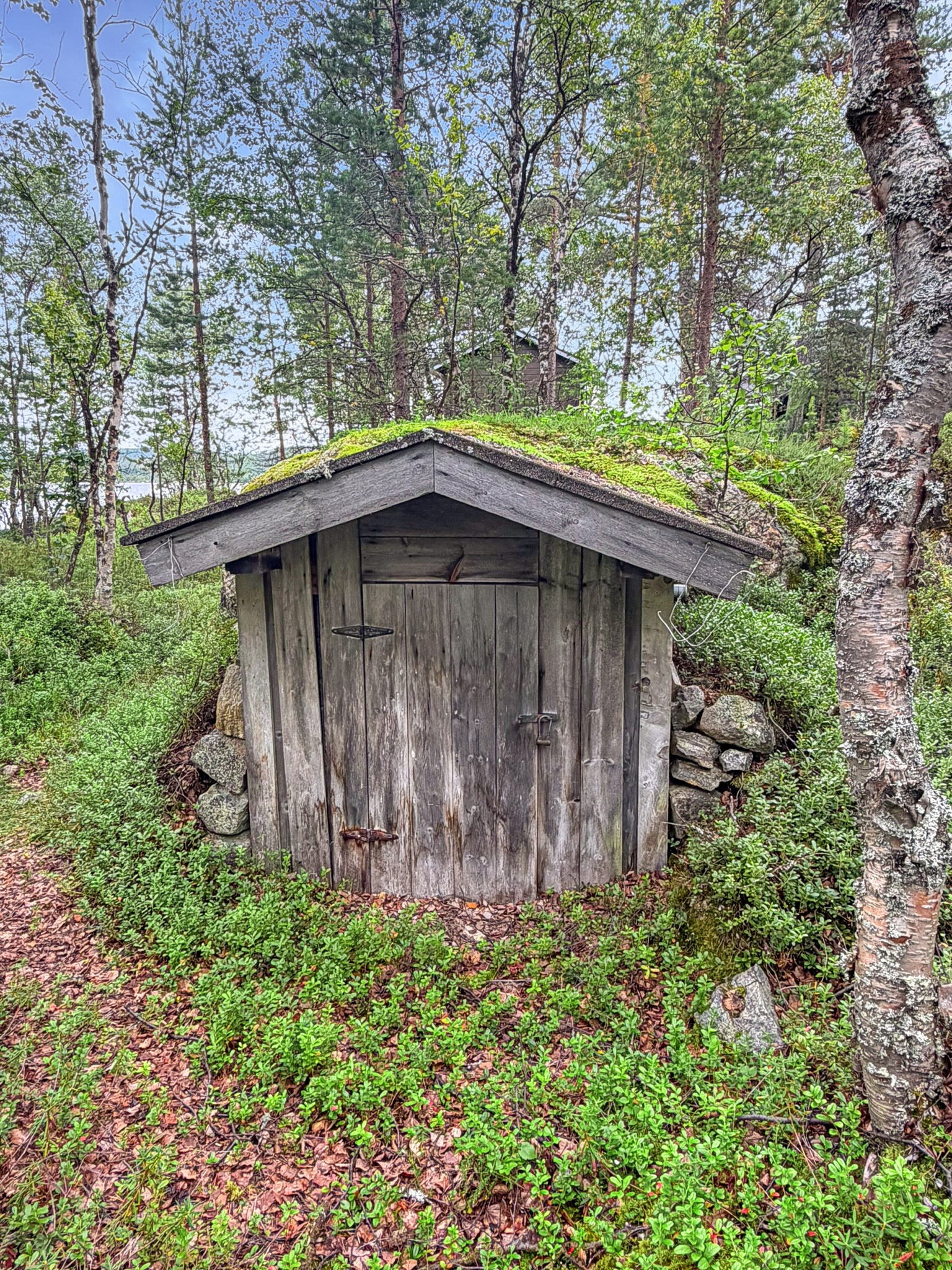 Pihapiirissä myös maakellari