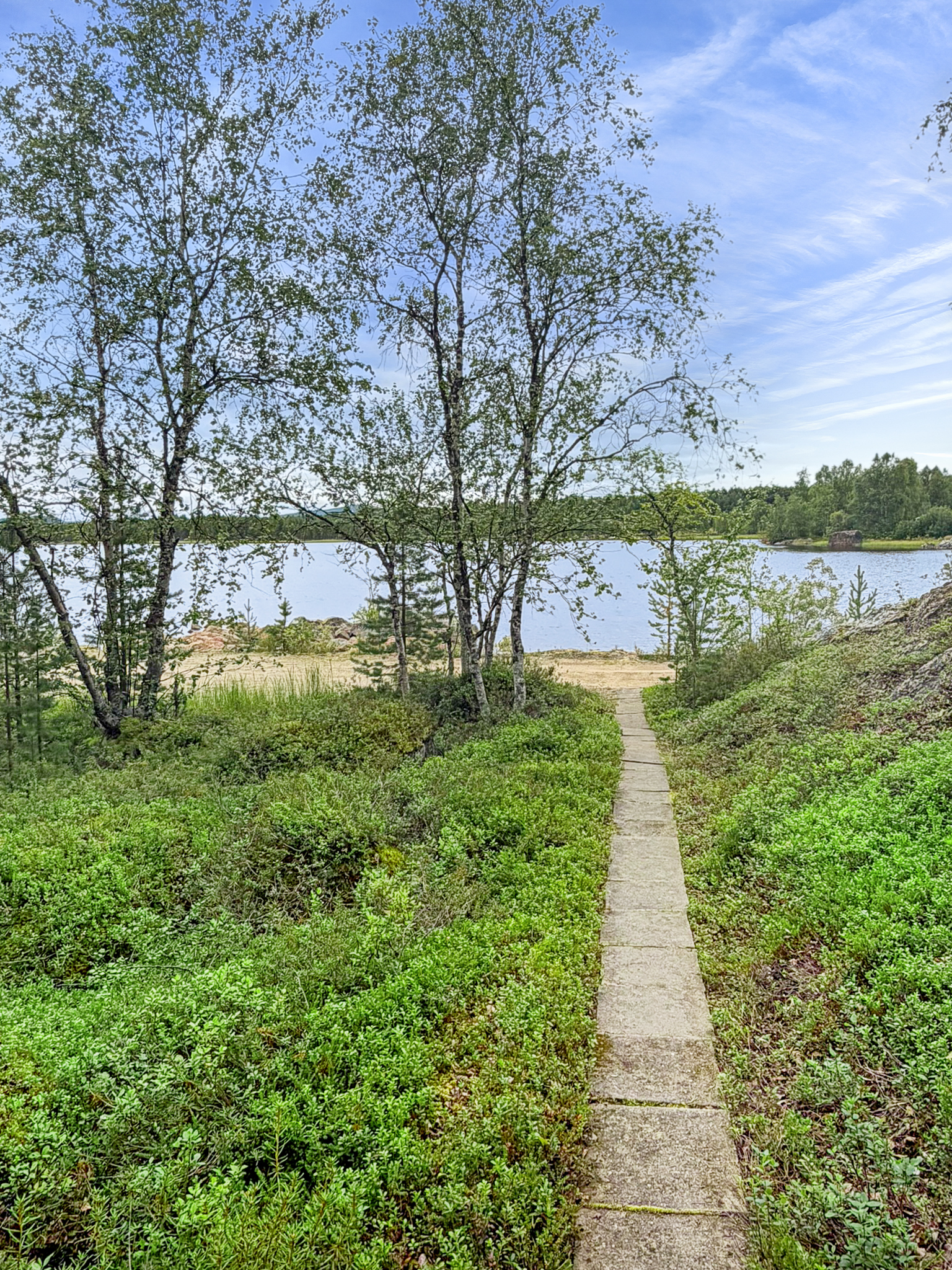 Laatoitettu pihapolku