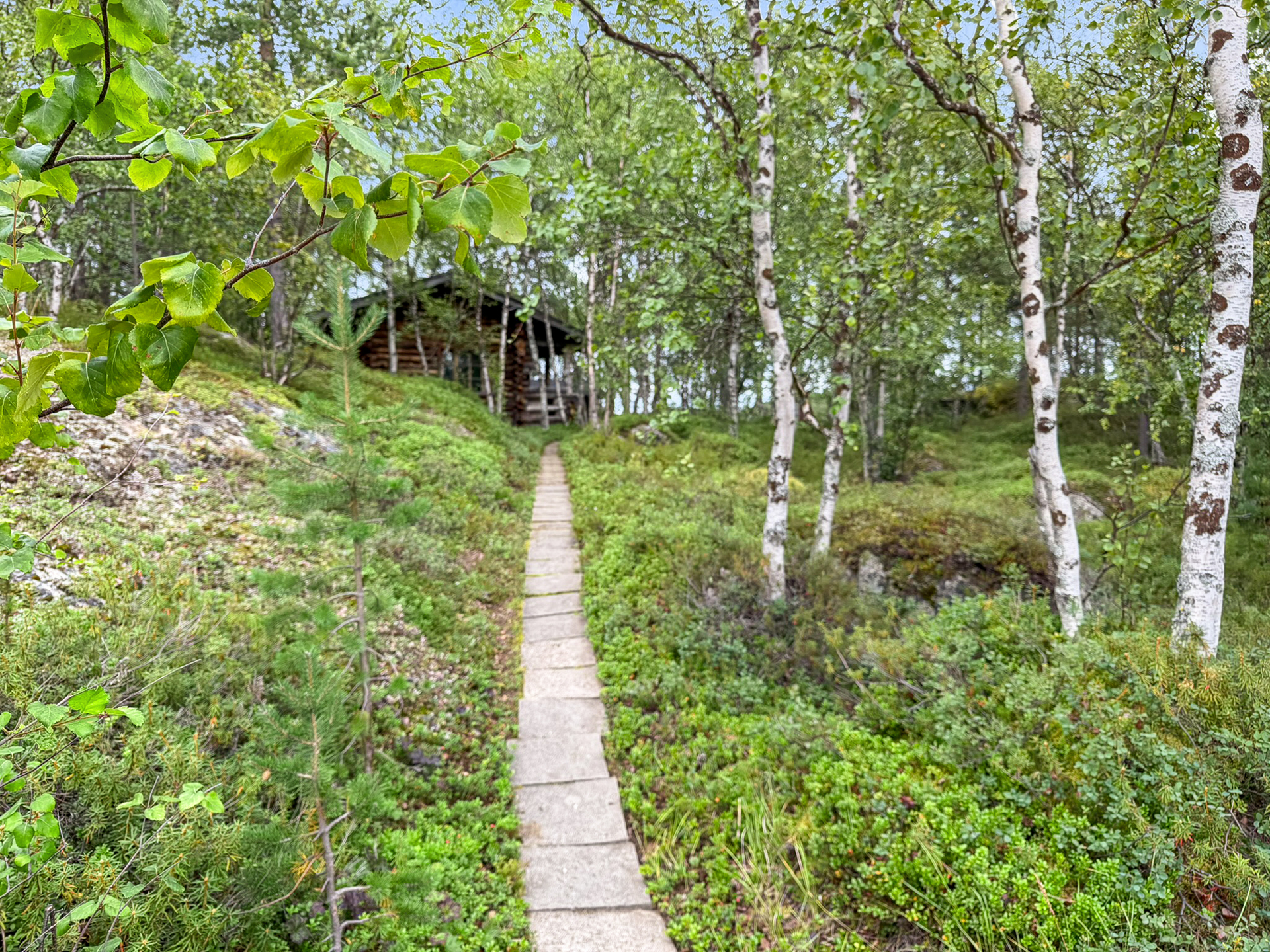 Pihapolku