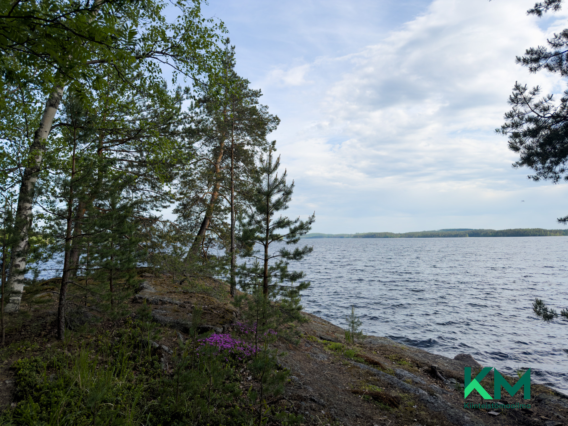 Mäntysaari 12:41 , Särkilahdenselkä 1, Savonlinna