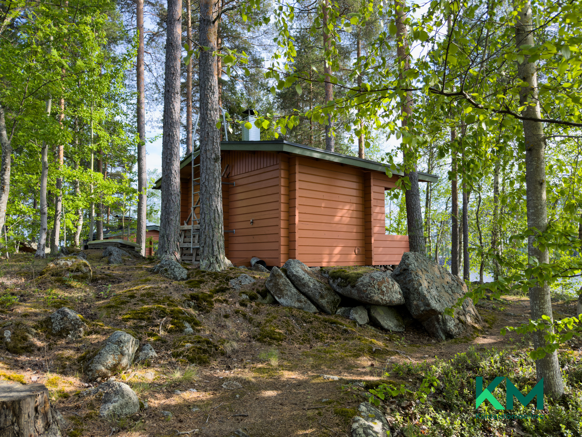 Mäntysaari 12:41 , Särkilahdenselkä 1, Savonlinna