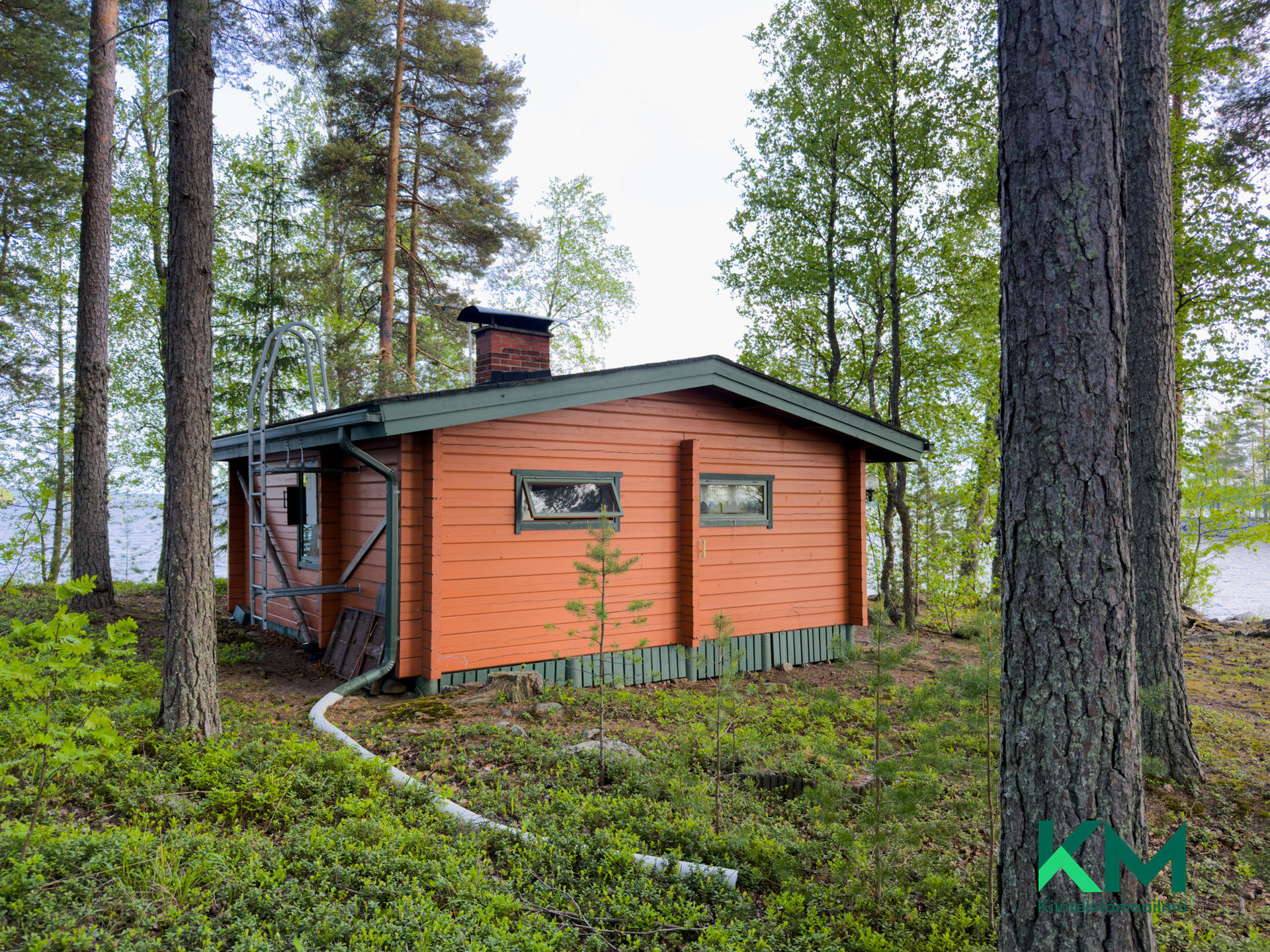 Mäntysaari 12:41 , Särkilahdenselkä 1, Savonlinna