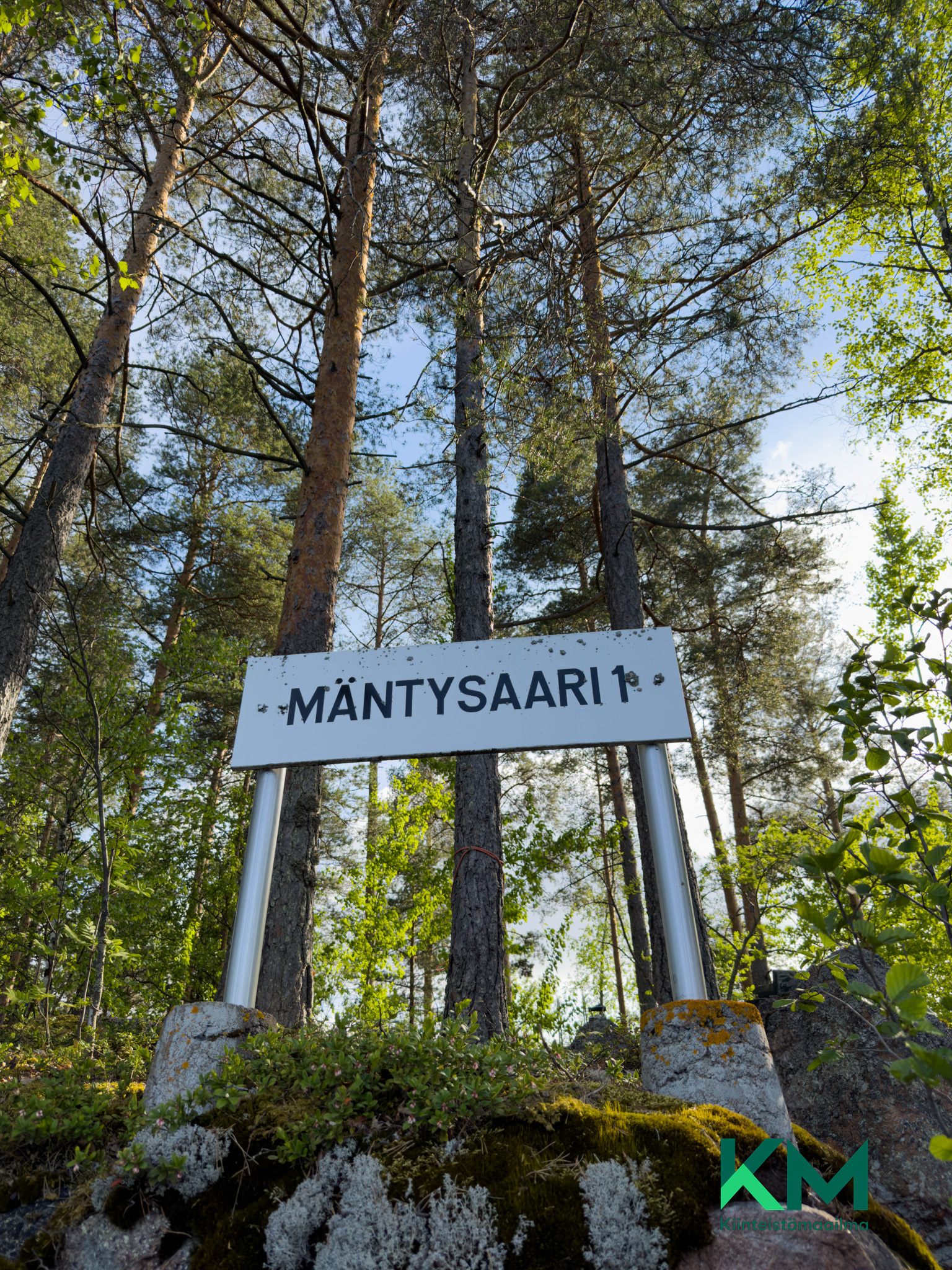 Mäntysaari 12:41 , Särkilahdenselkä 1, Savonlinna